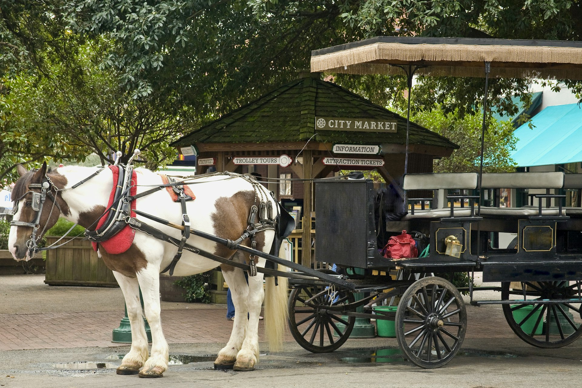 Savanah GA: Horsecart for Tourists at City Market