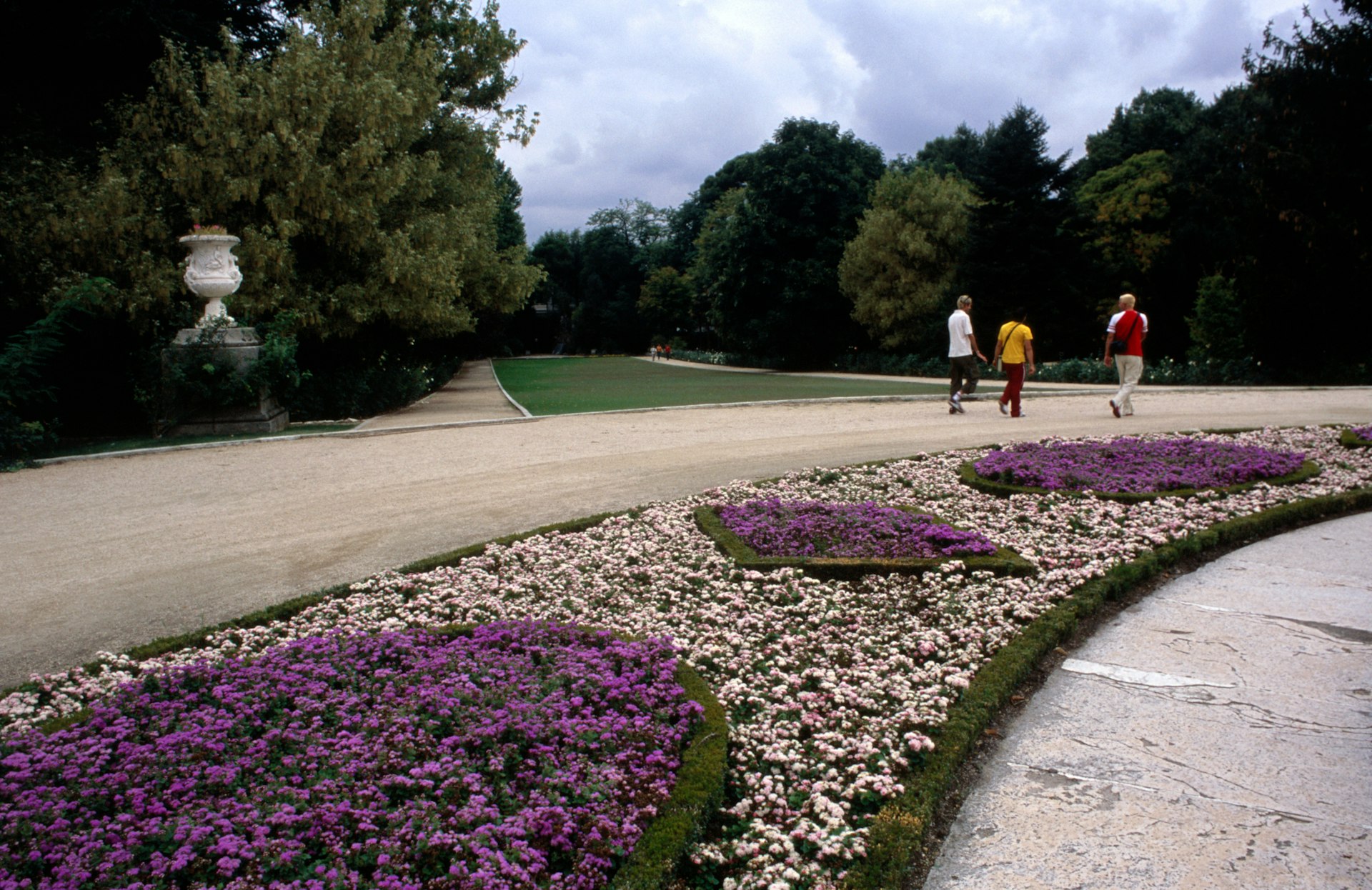 Blooming flowers in a city park