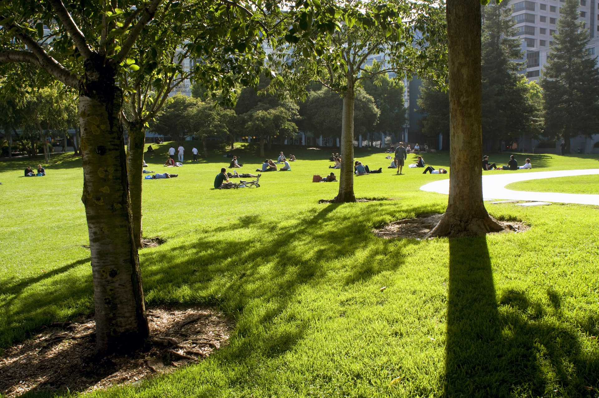 The trees of Yerba Buena Park slightly blocking the view of the Yerba Buena Center for the Arts in San Francisco.