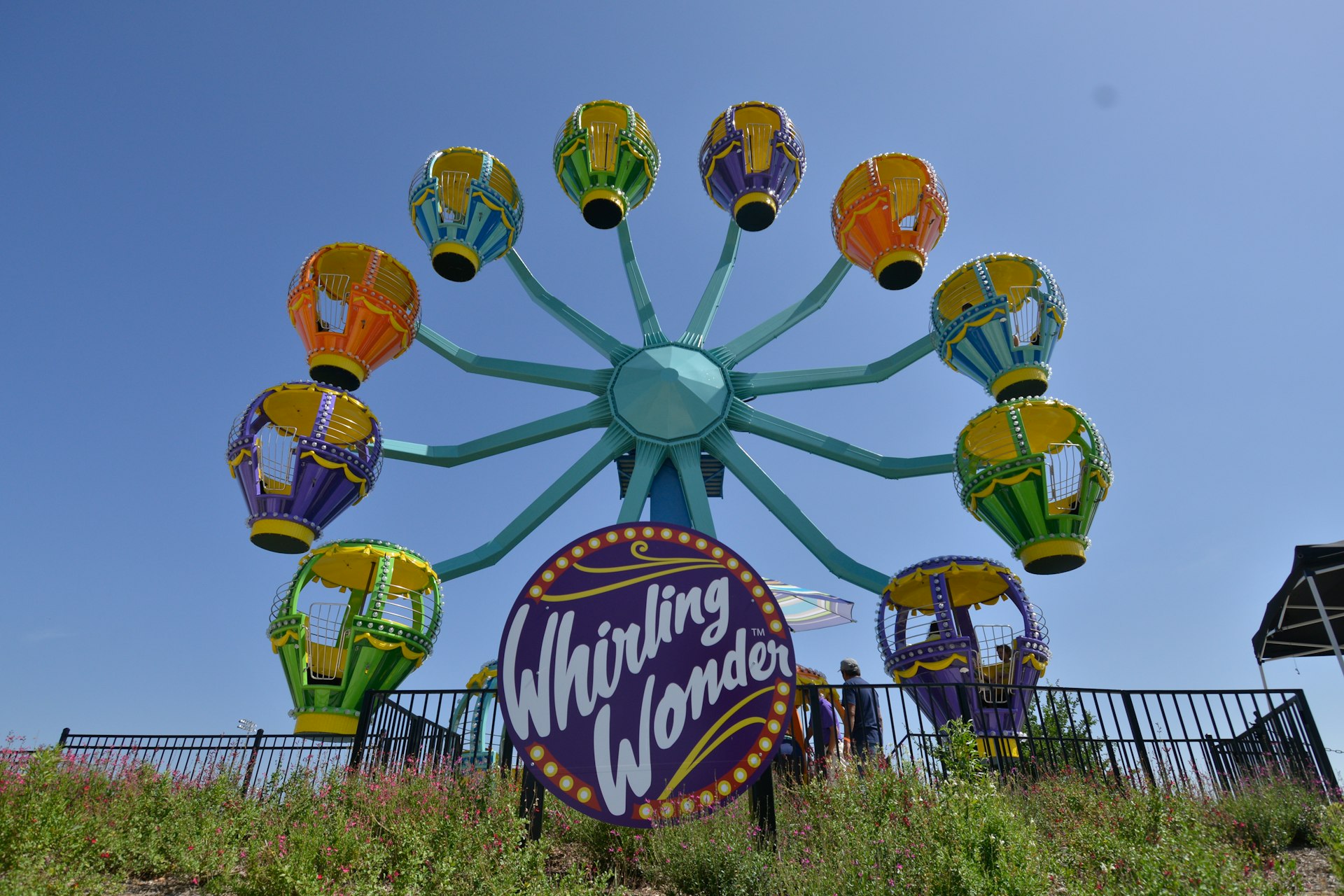 A brightly colored Ferris Wheel with large wheelchair-accessible compartments