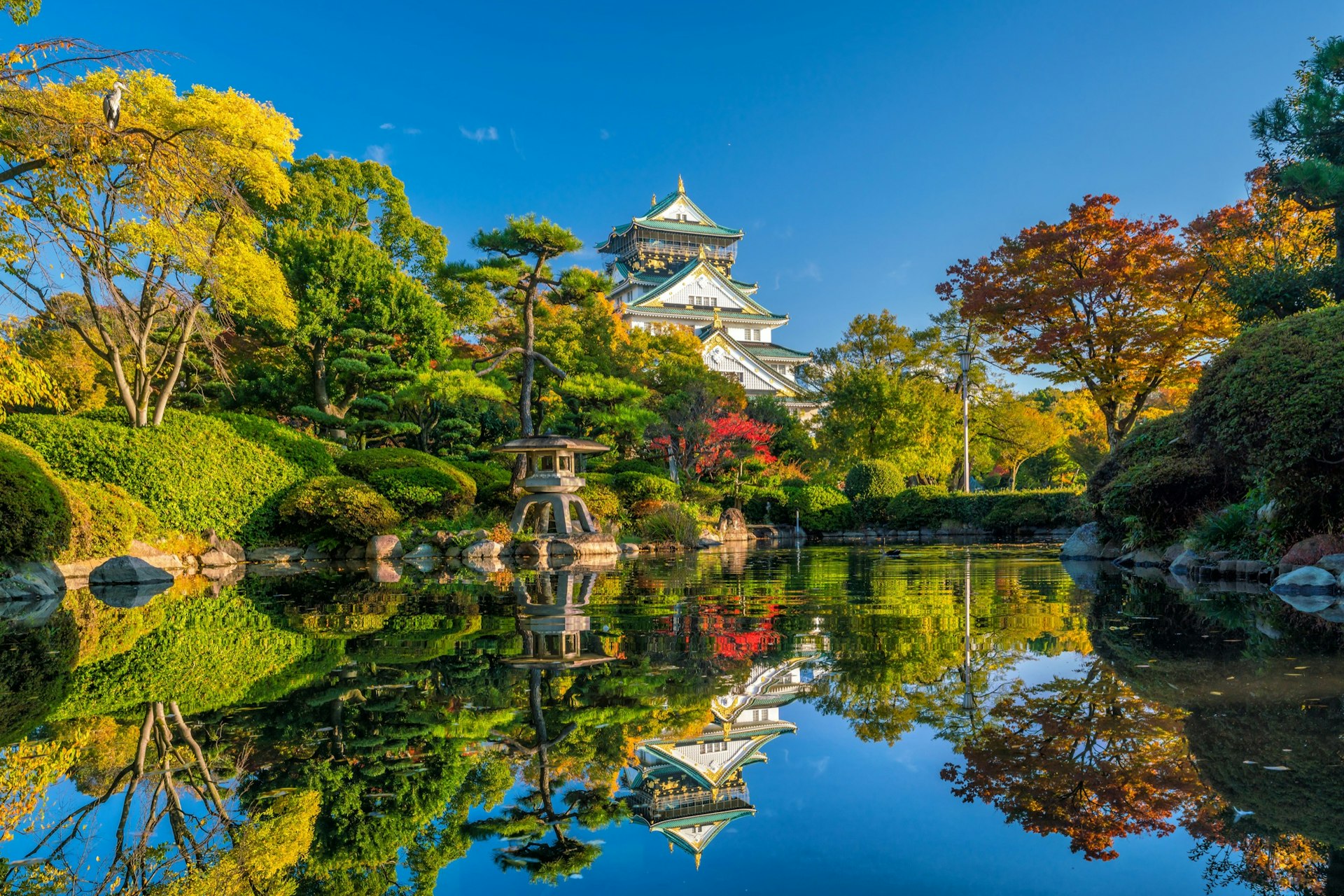 returning-to-the-best-of-tokyo-and-osaka-lonely-planet-lonely-planet