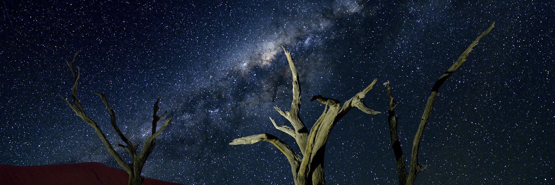 The dead Camelthorn trees in the famous Deadvlei are one of the Hotspots for Photographers all over the world.
