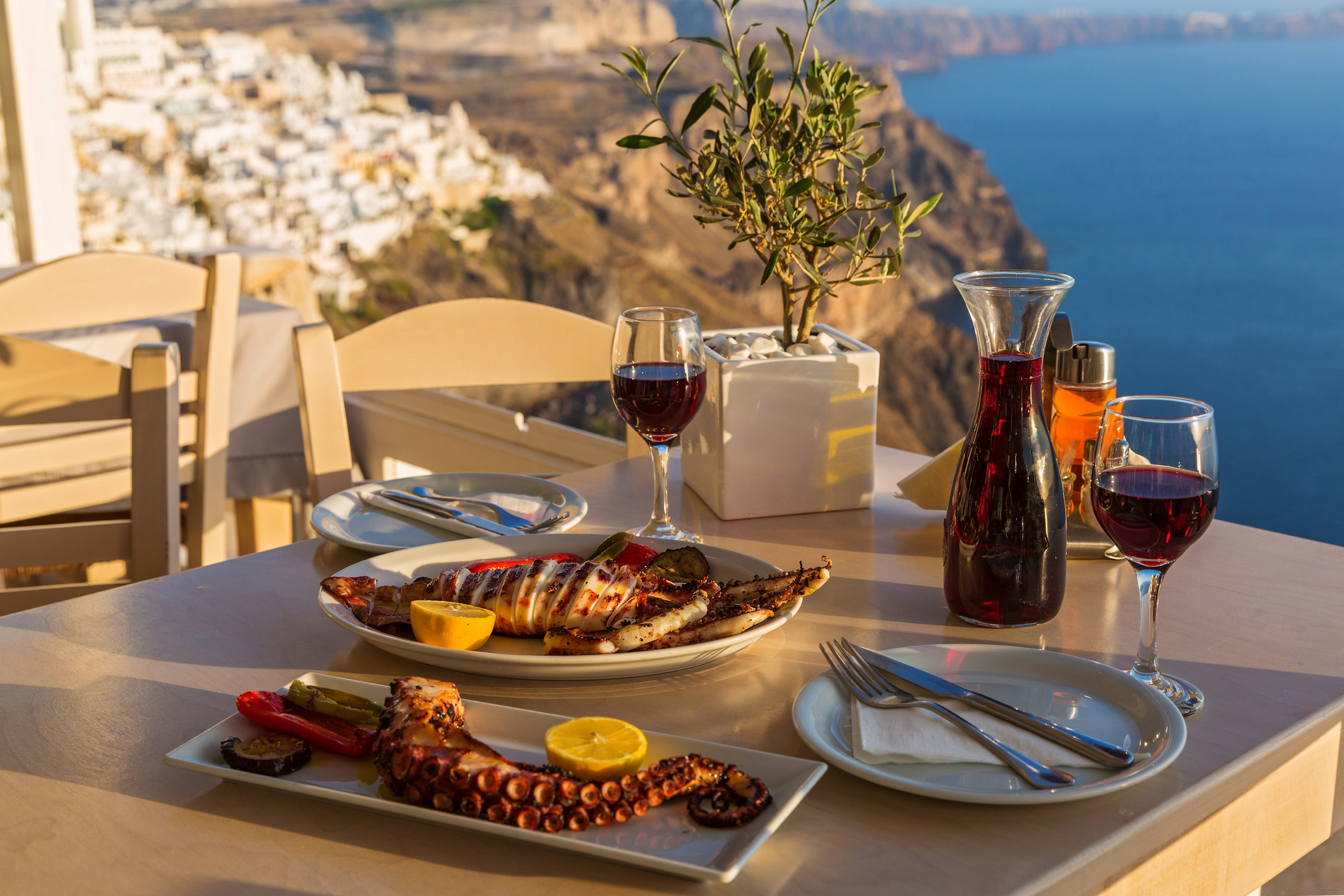 Dinner with seafood and red wine