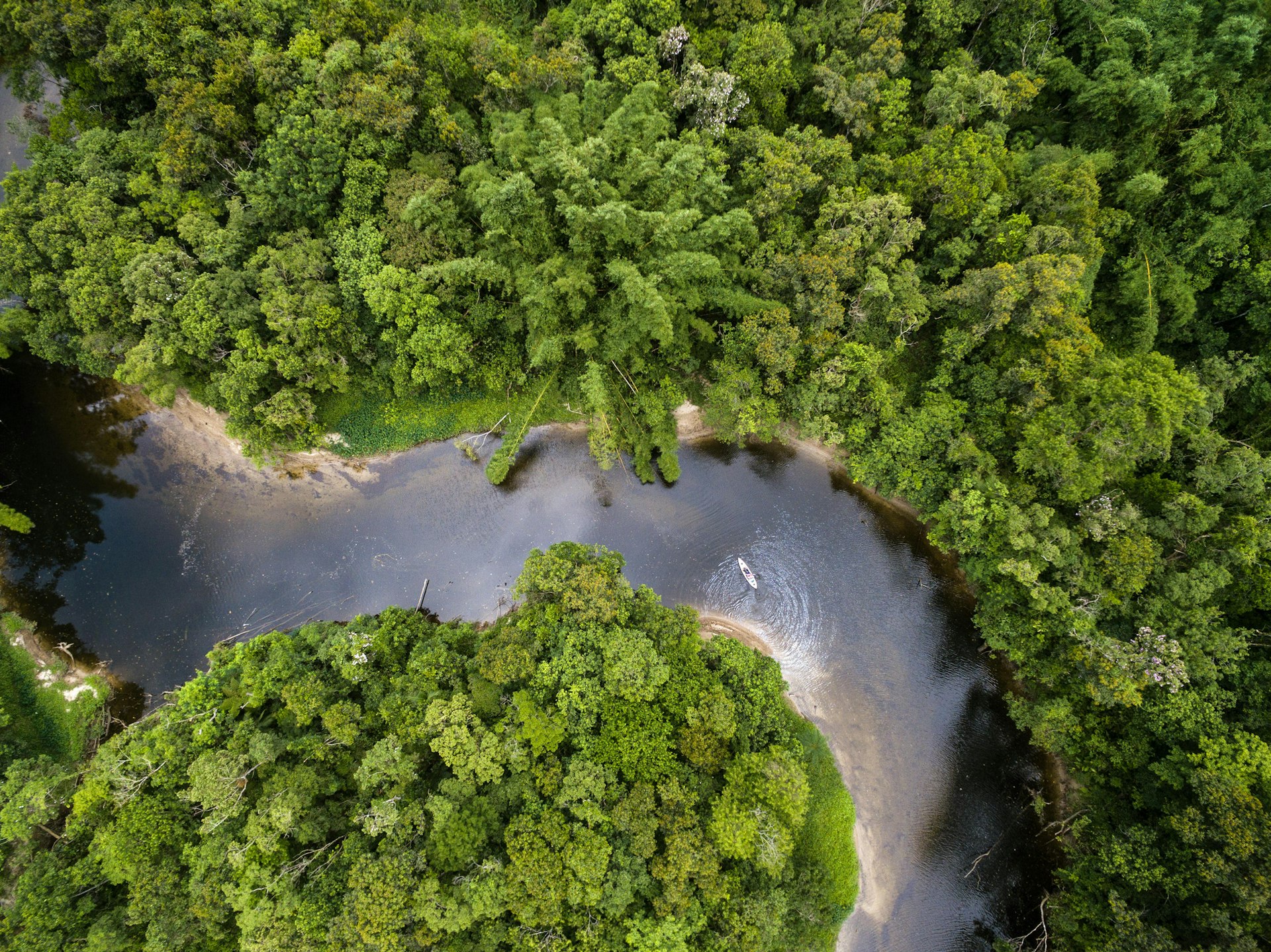 Aerial of a kayaker in a river weaving through dense rainforest