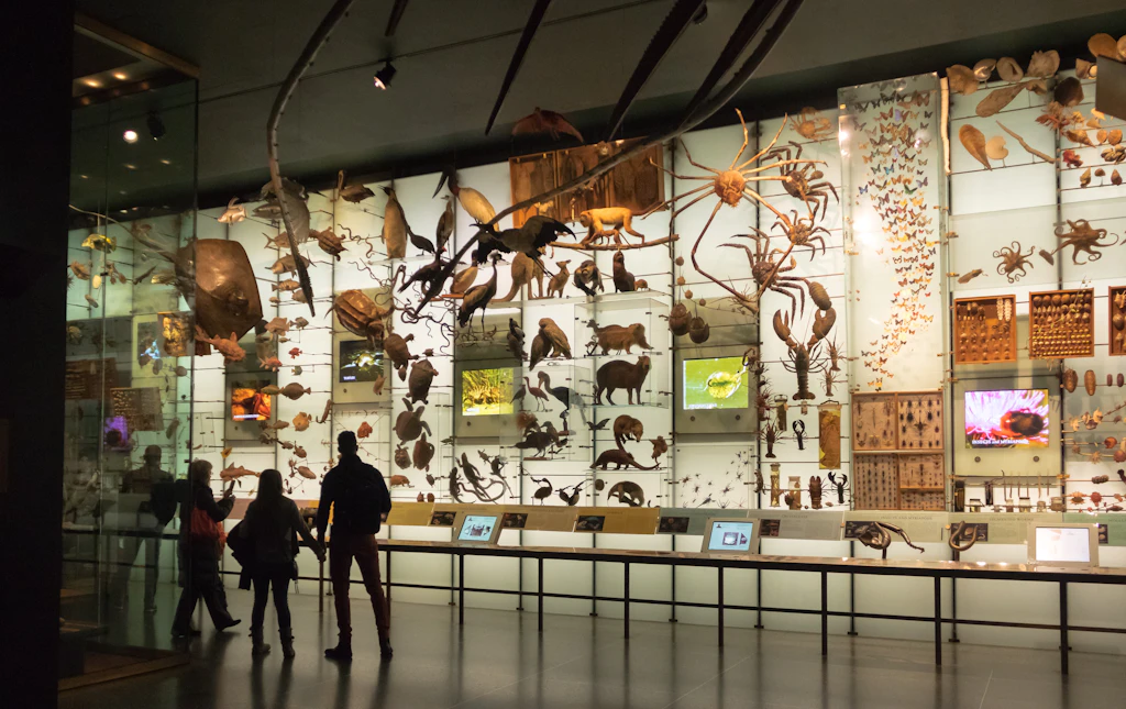 American Museum of Natural History American Museum of Natural History