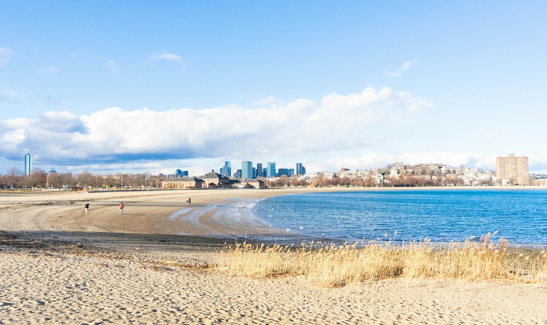 A sandy beach cove with a city skyline in the distance