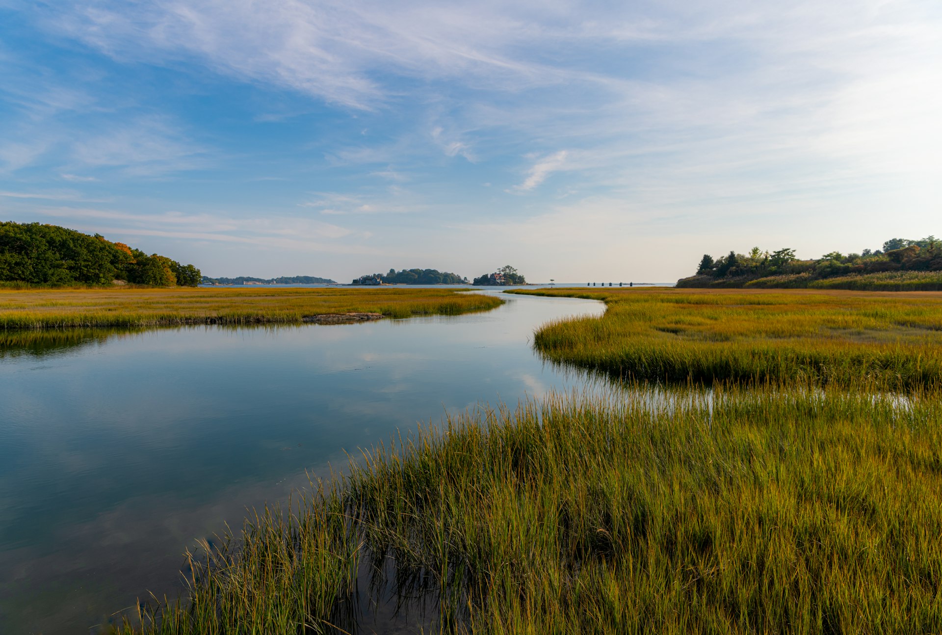 salt marshes at Connecticut's shoreline beaches