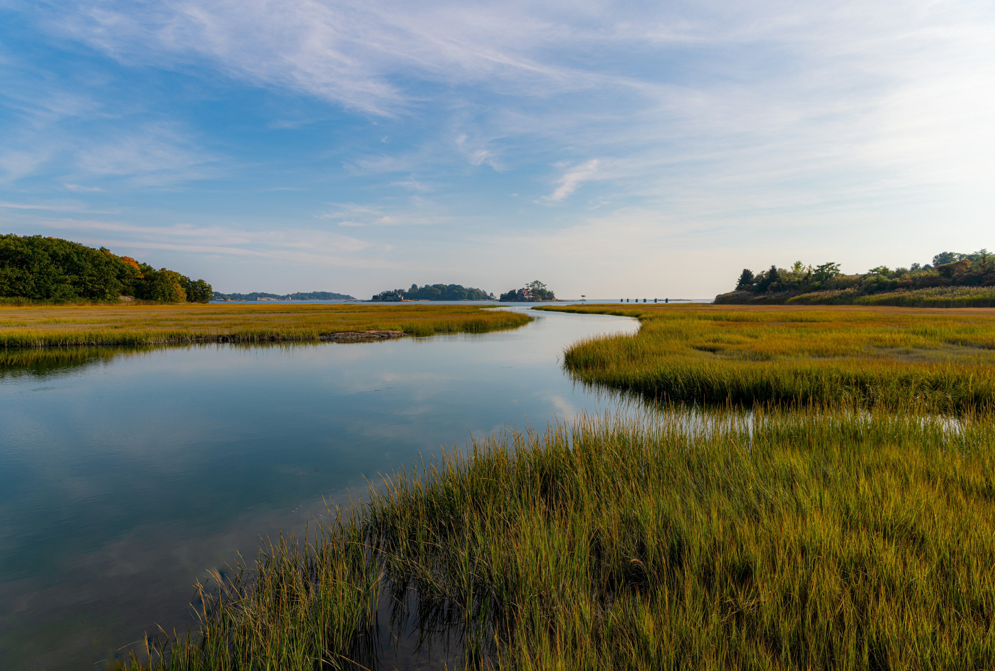 salt marshes at Connecticut's shoreline beaches