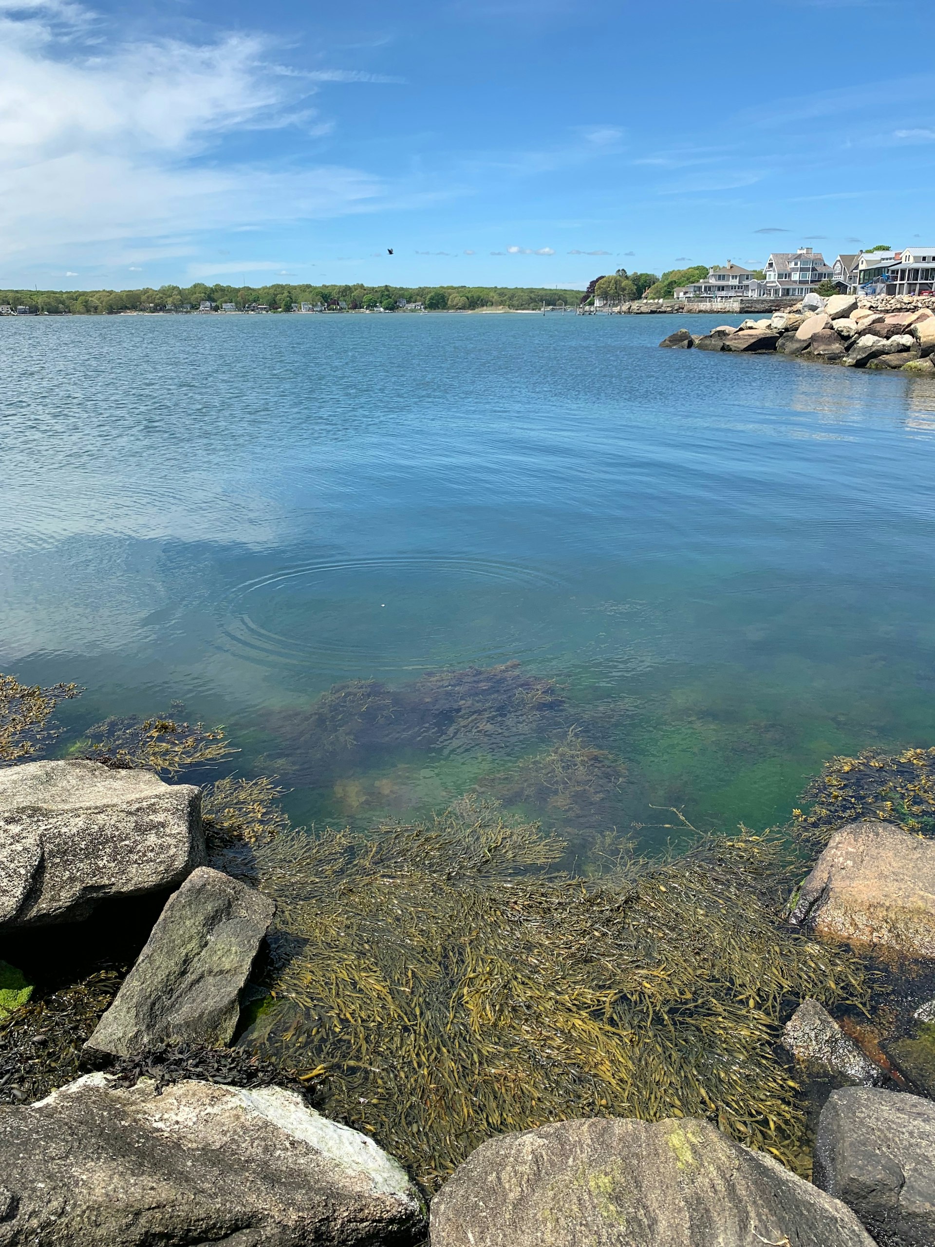 Long Island Sound looking like a glassy lake