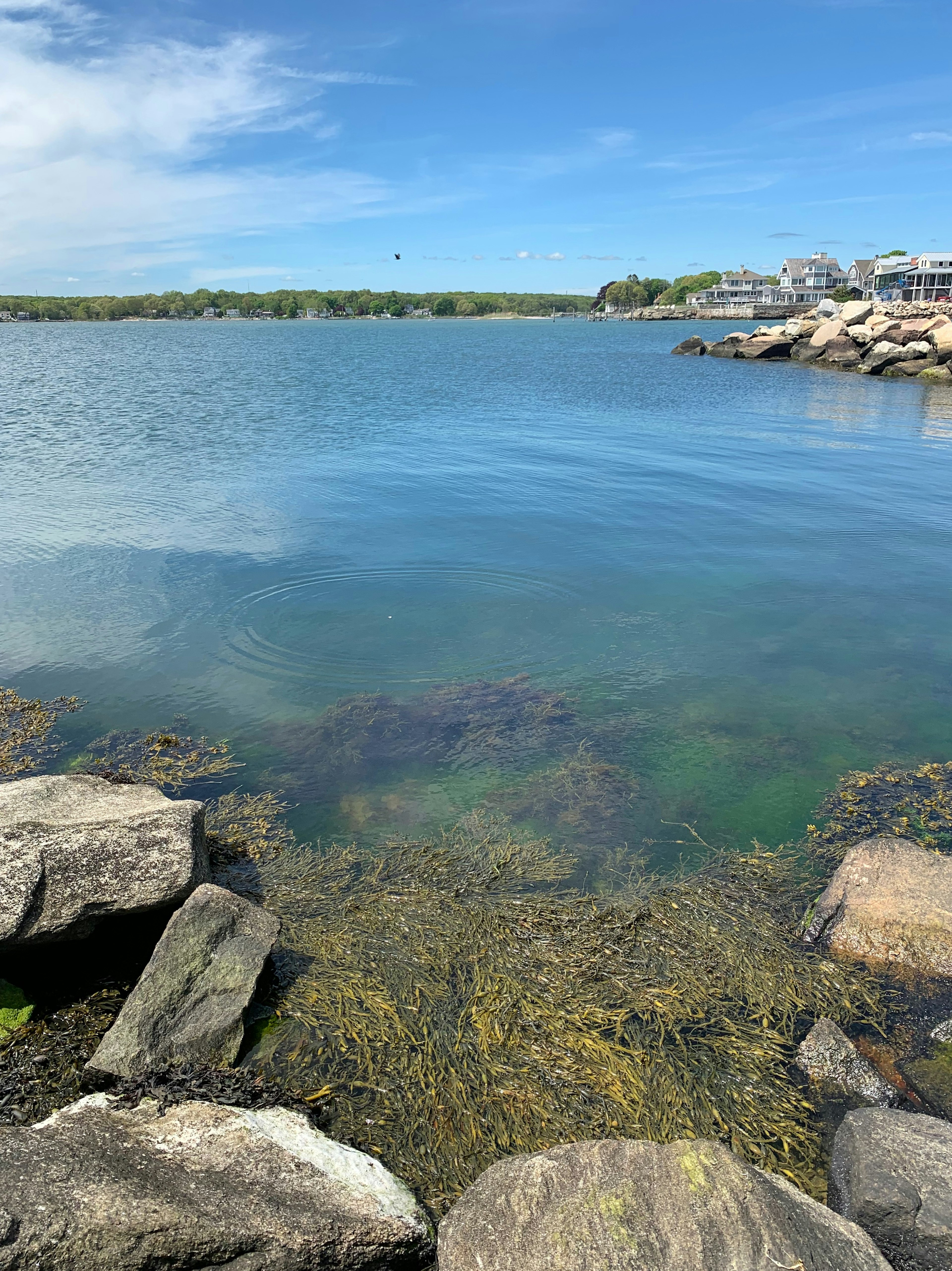 Long Island Sound looking like a glassy lake