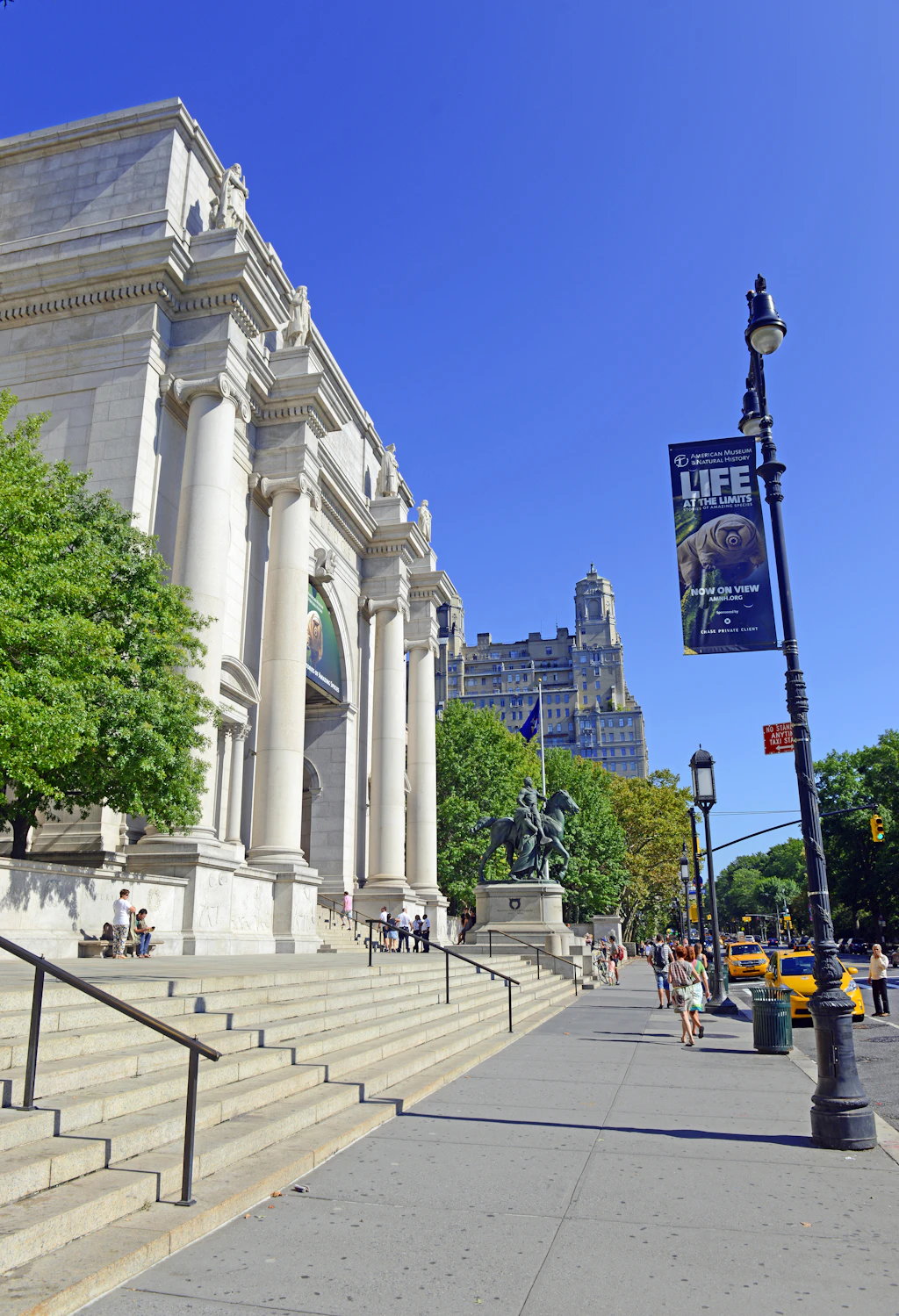 The American Museum of Natural History The American Museum of Natural History