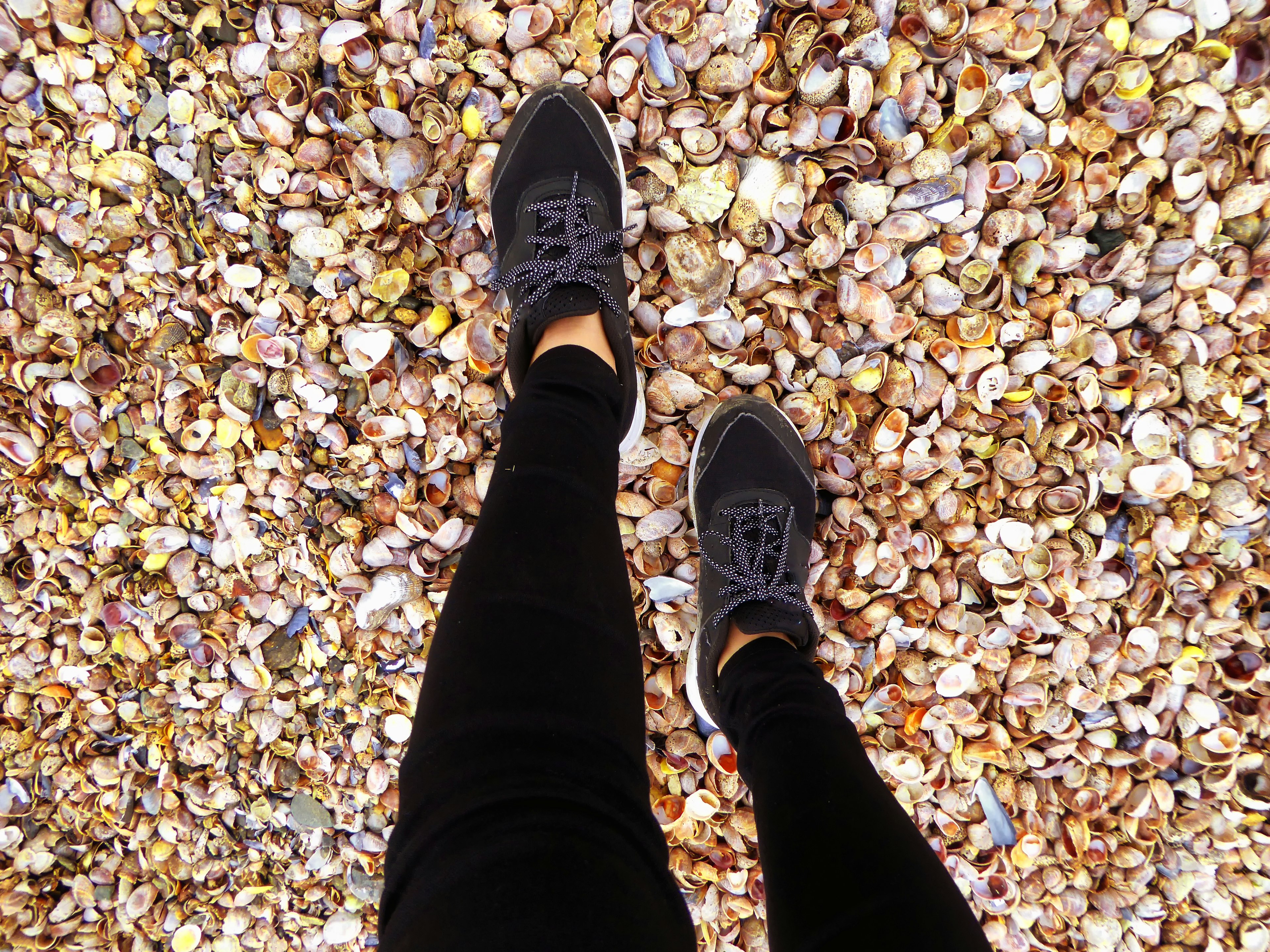 walking on shells to Charles Island at Silver Sands Connecticut