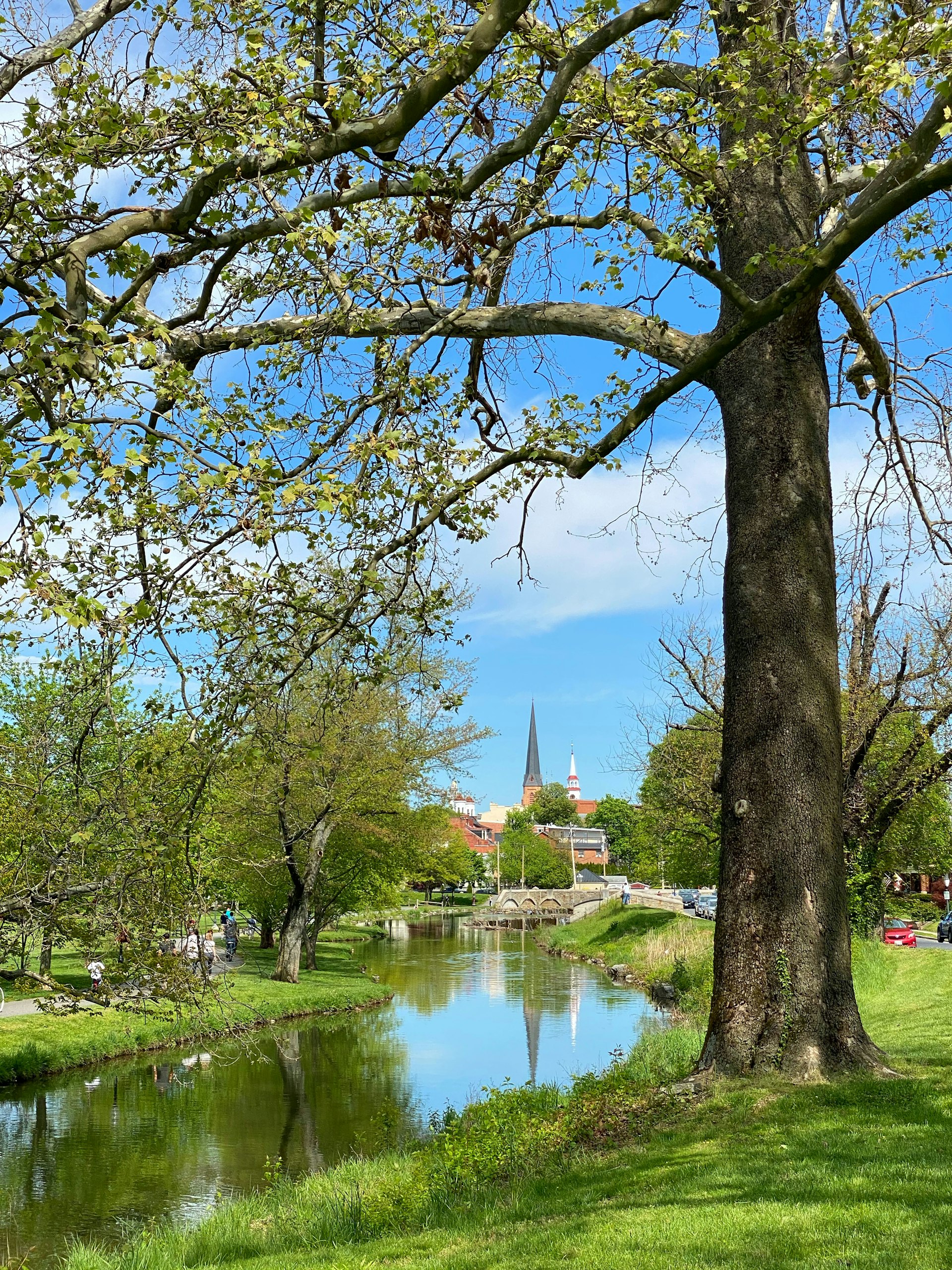 View of Carroll Creek and downtown Frederick Maryland from Baker Park