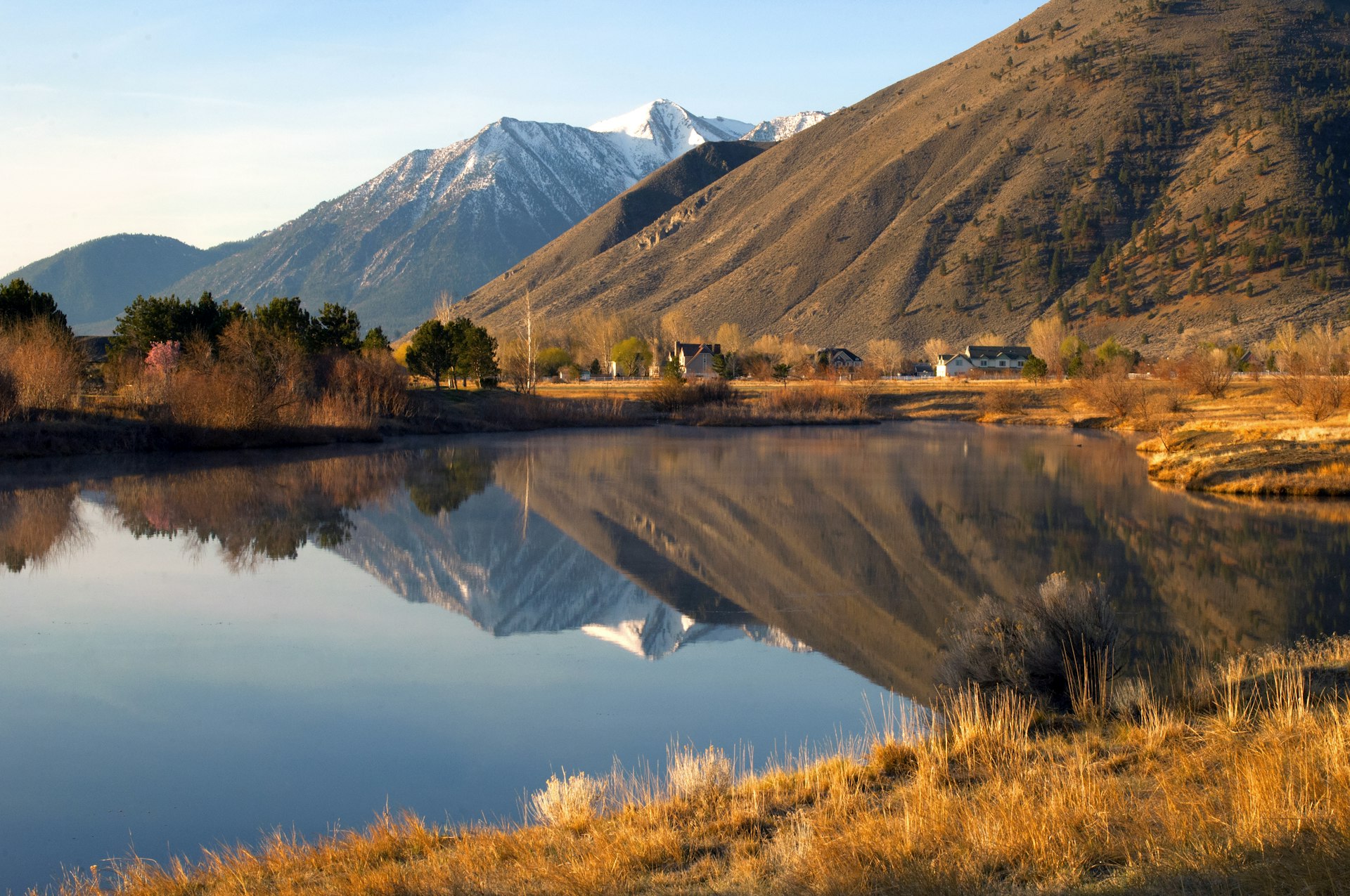 Job's Peak Reflection in Douglas County, Nevada