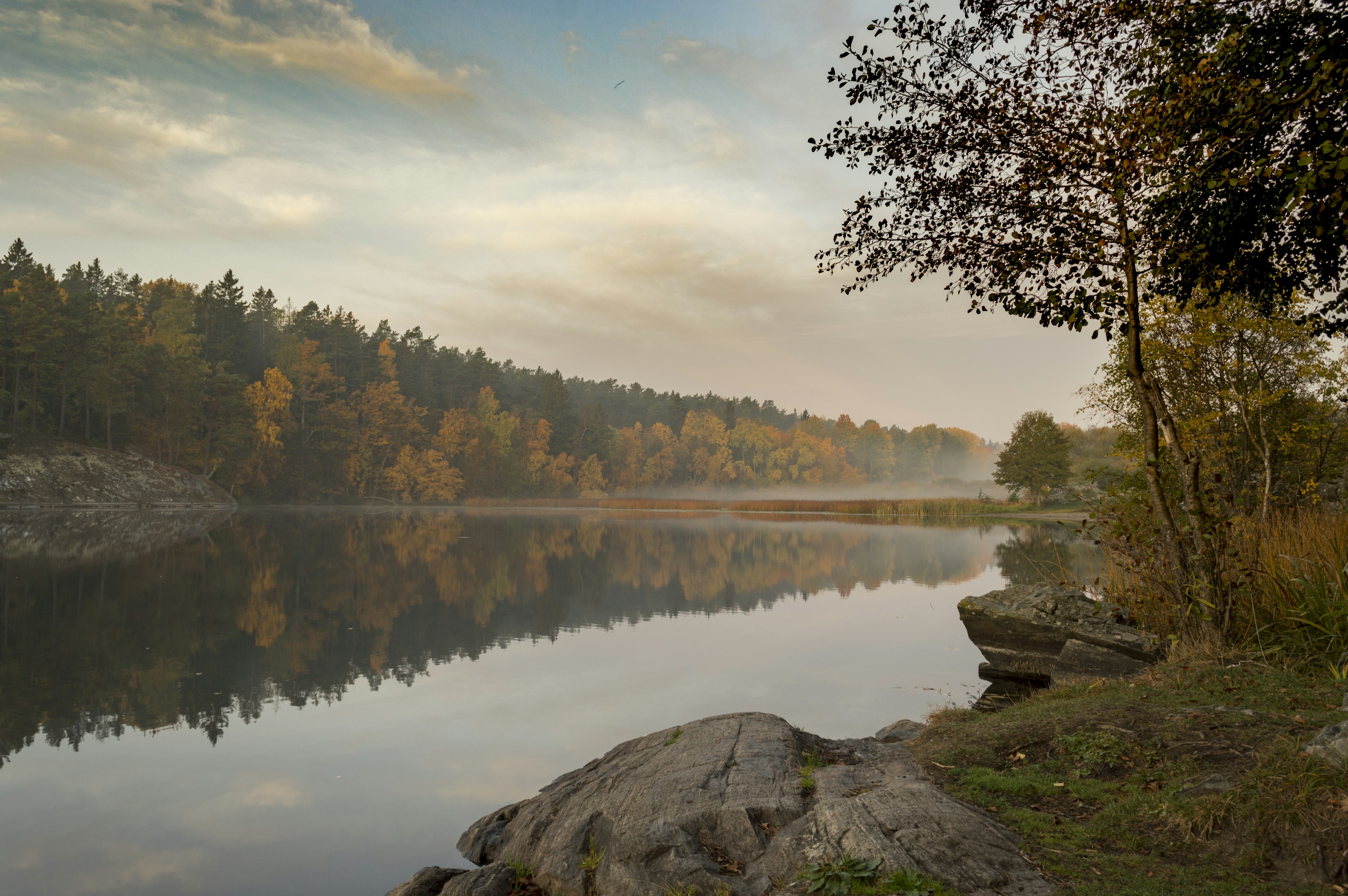 An autumnal scene of a lake surrounded by trees with leaves in gold and orange colours