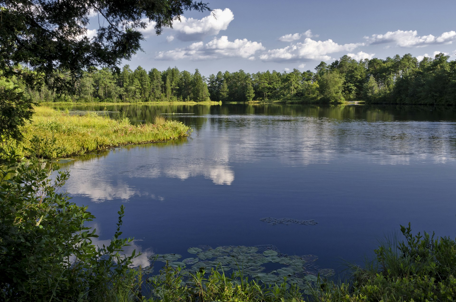 A body of water surrounded by trees in Pine Barrens