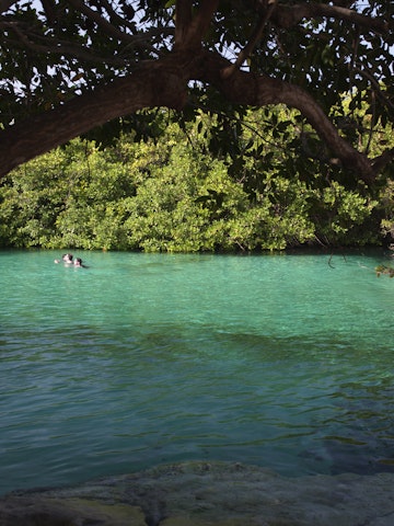 Beautiful Cenote Manatee, ( a.k.a. Casa Cenote, and Cenote Manatí ), in Tankah Bay, Quintana Roo, Mexico.