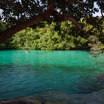 Beautiful Cenote Manatee, ( a.k.a. Casa Cenote, and Cenote Manatí ), in Tankah Bay, Quintana Roo, Mexico.