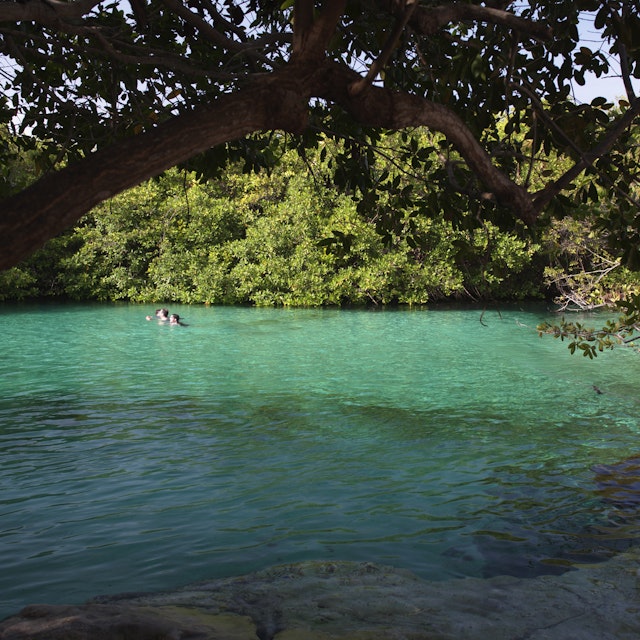 Beautiful Cenote Manatee, ( a.k.a. Casa Cenote, and Cenote Manatí ), in Tankah Bay, Quintana Roo, Mexico.