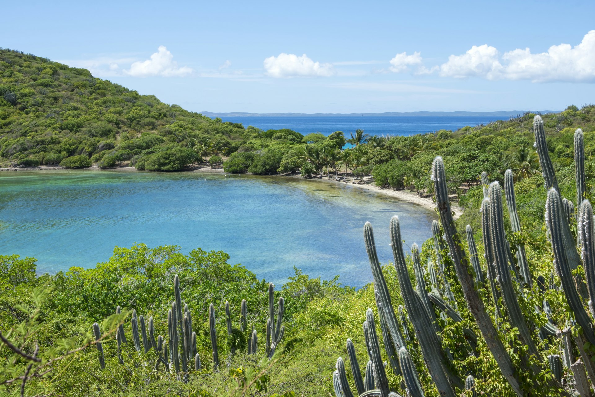 Dense vegetation and calm waters of Melena Bay and Soldier Point on Culebra, Puerto Rico