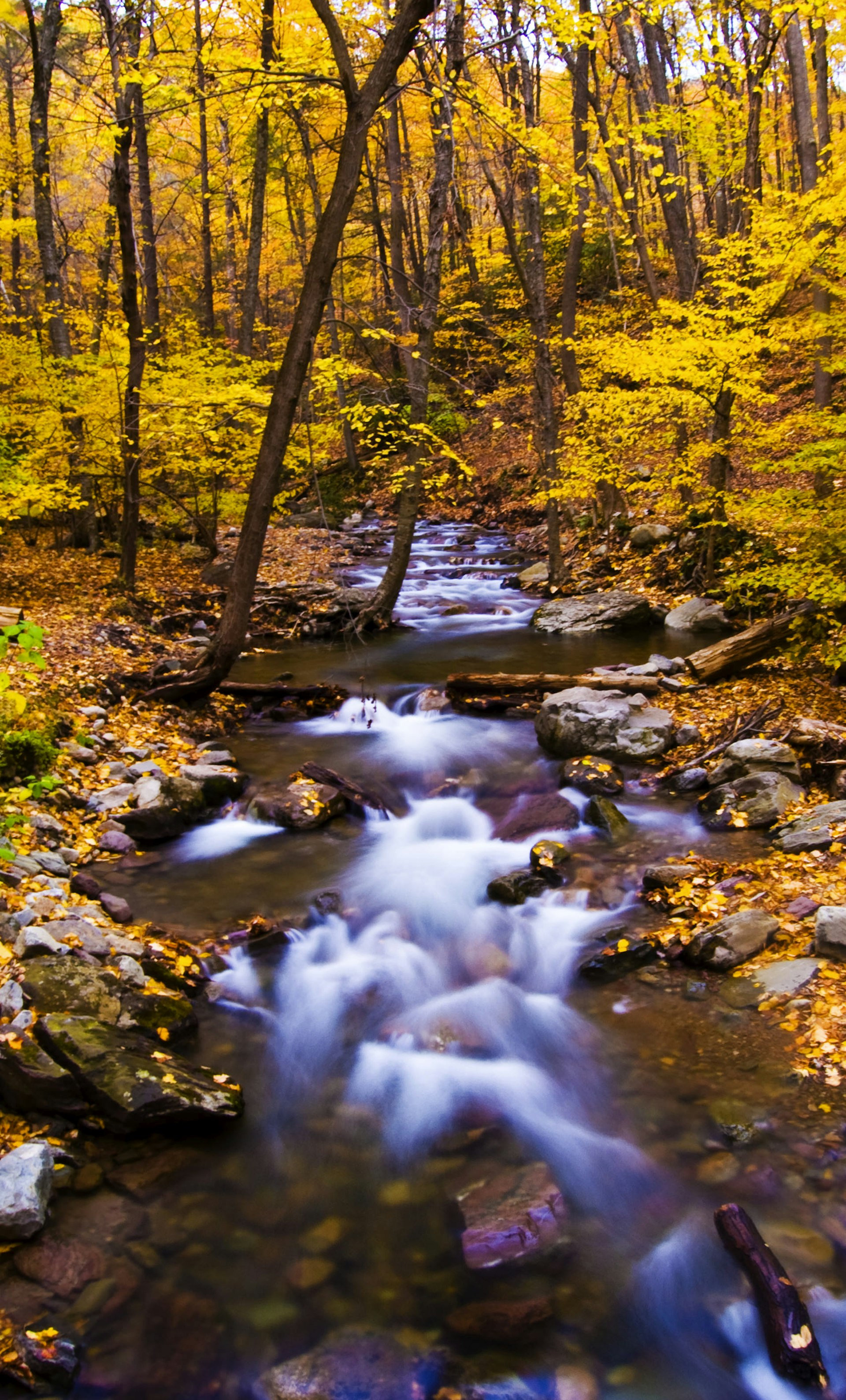 Fall colors at Delaware Water Gap in New Jersey