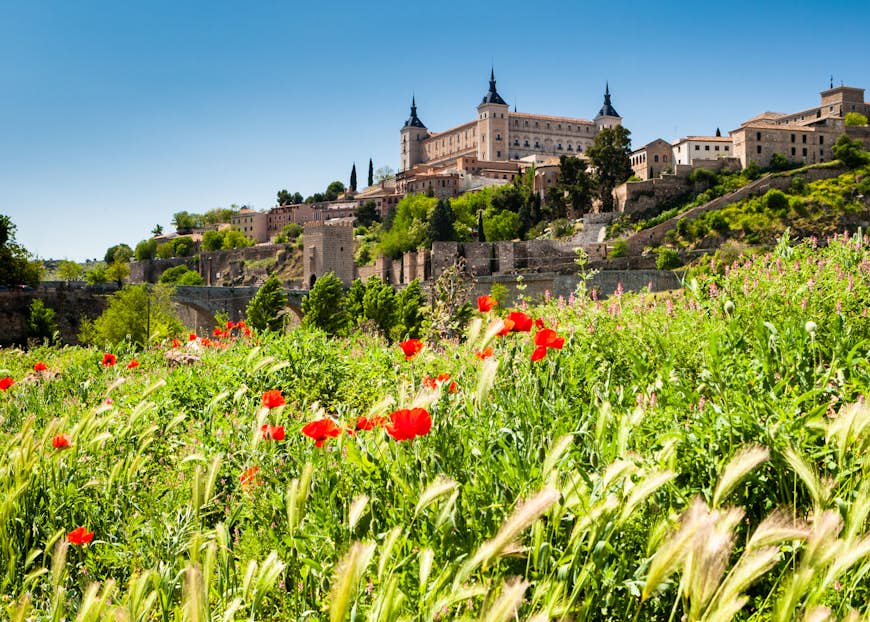 Field with wild flowers looking towards Toledo city in Spain