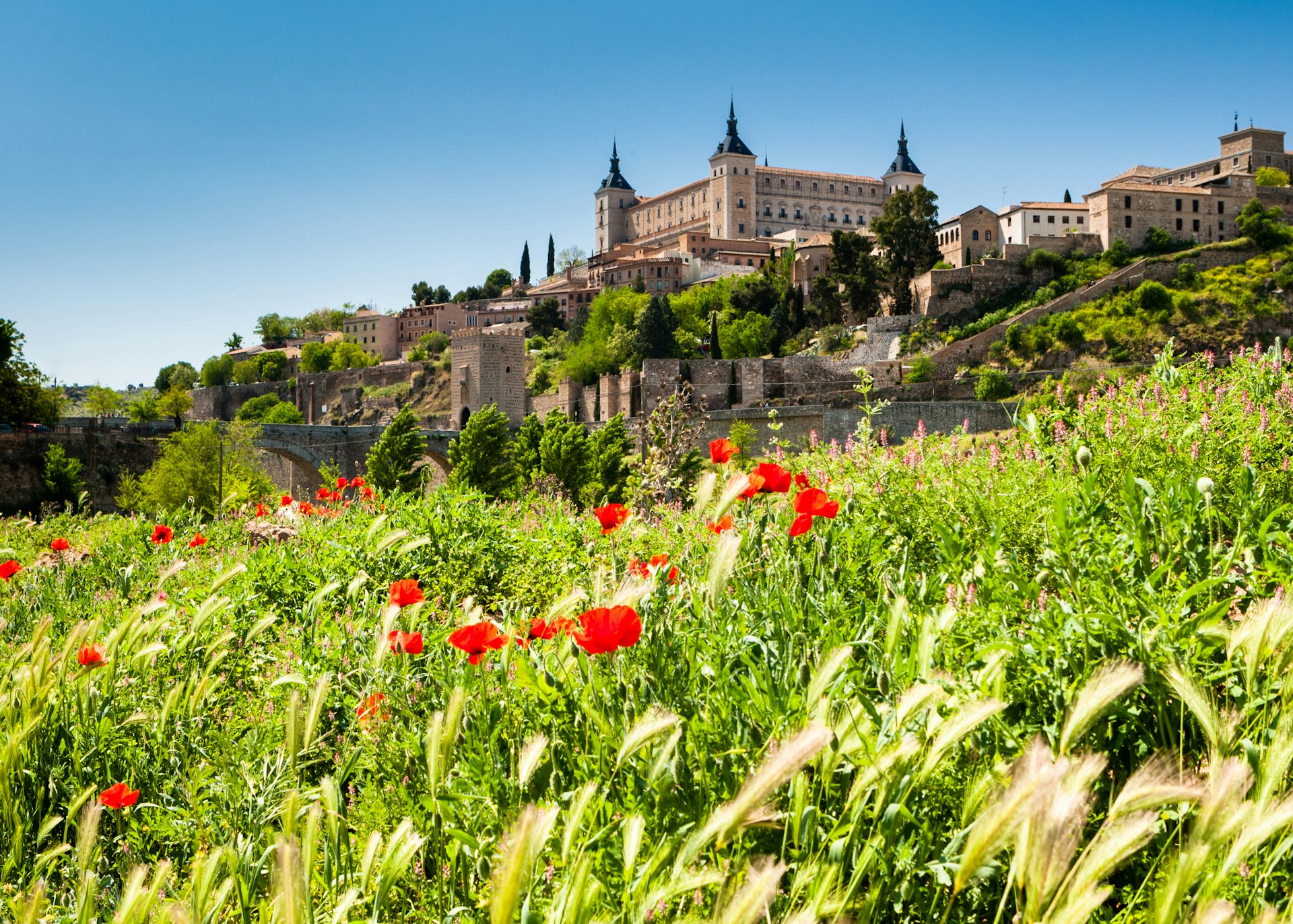 Field with wild flowers looking towards Toledo city in Spain