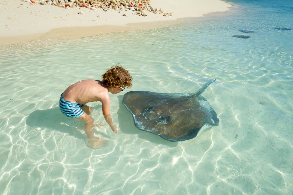 Boy interacting with ray