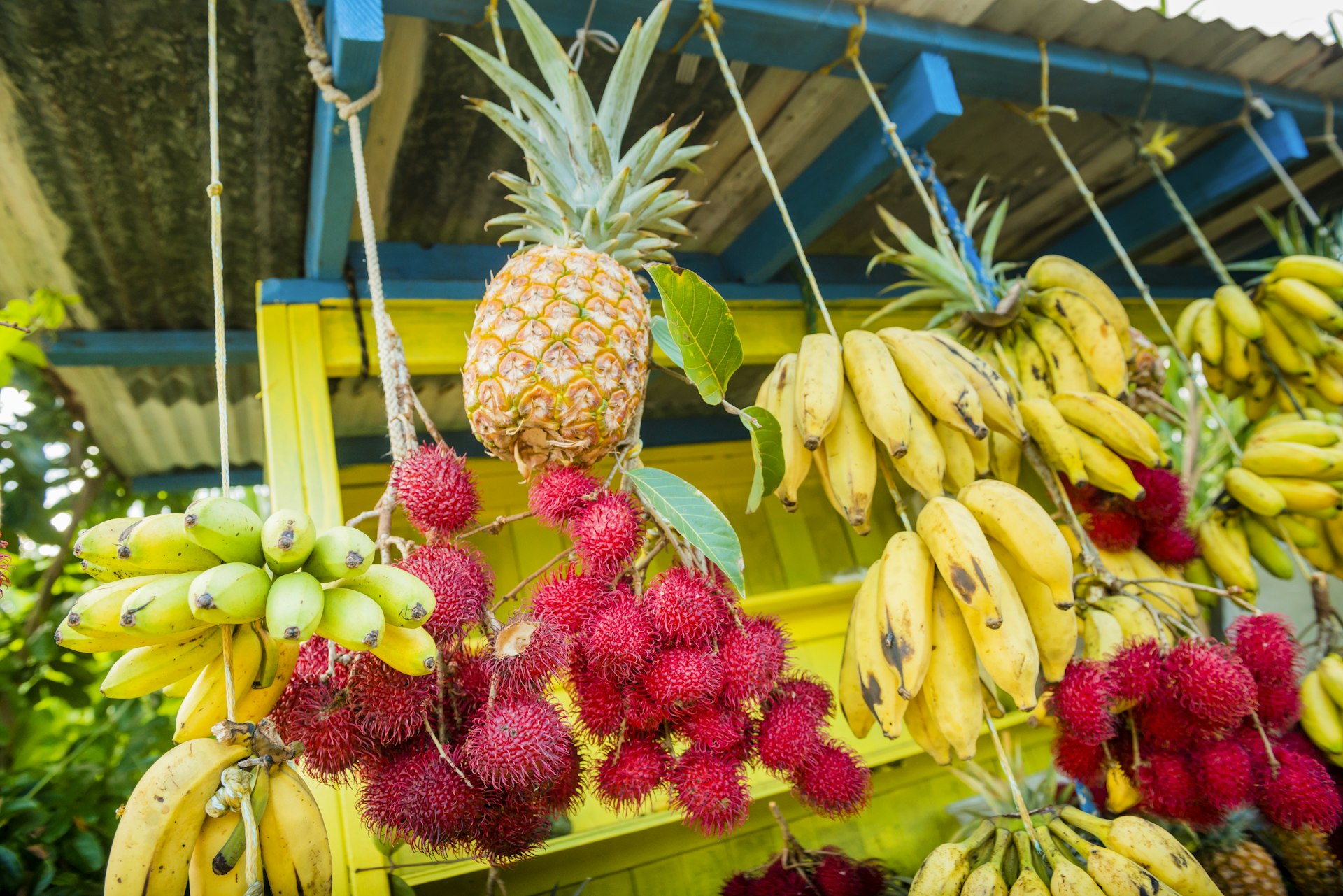 Organic Fresh Fruit Stand Selling Tropical Produce Big Island Hawaii