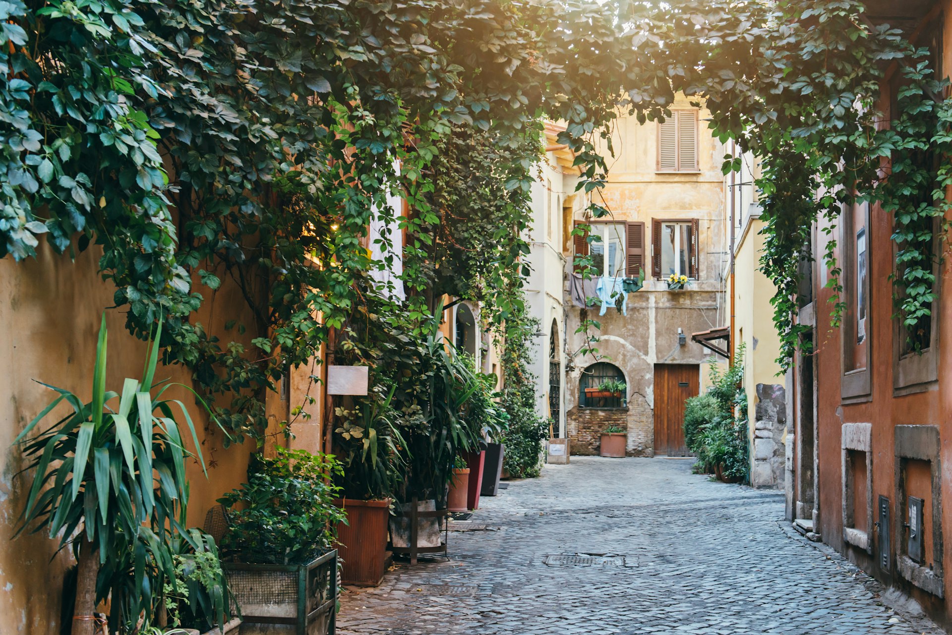 Plants are arranged around narrow doorways on both sides of a narrow cobblestone street in Trastevere, Rome