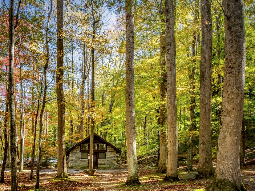 Autumn colours at the Chimney Tops picnic area in the Great Smoky Mountains National Park in Tennessee.