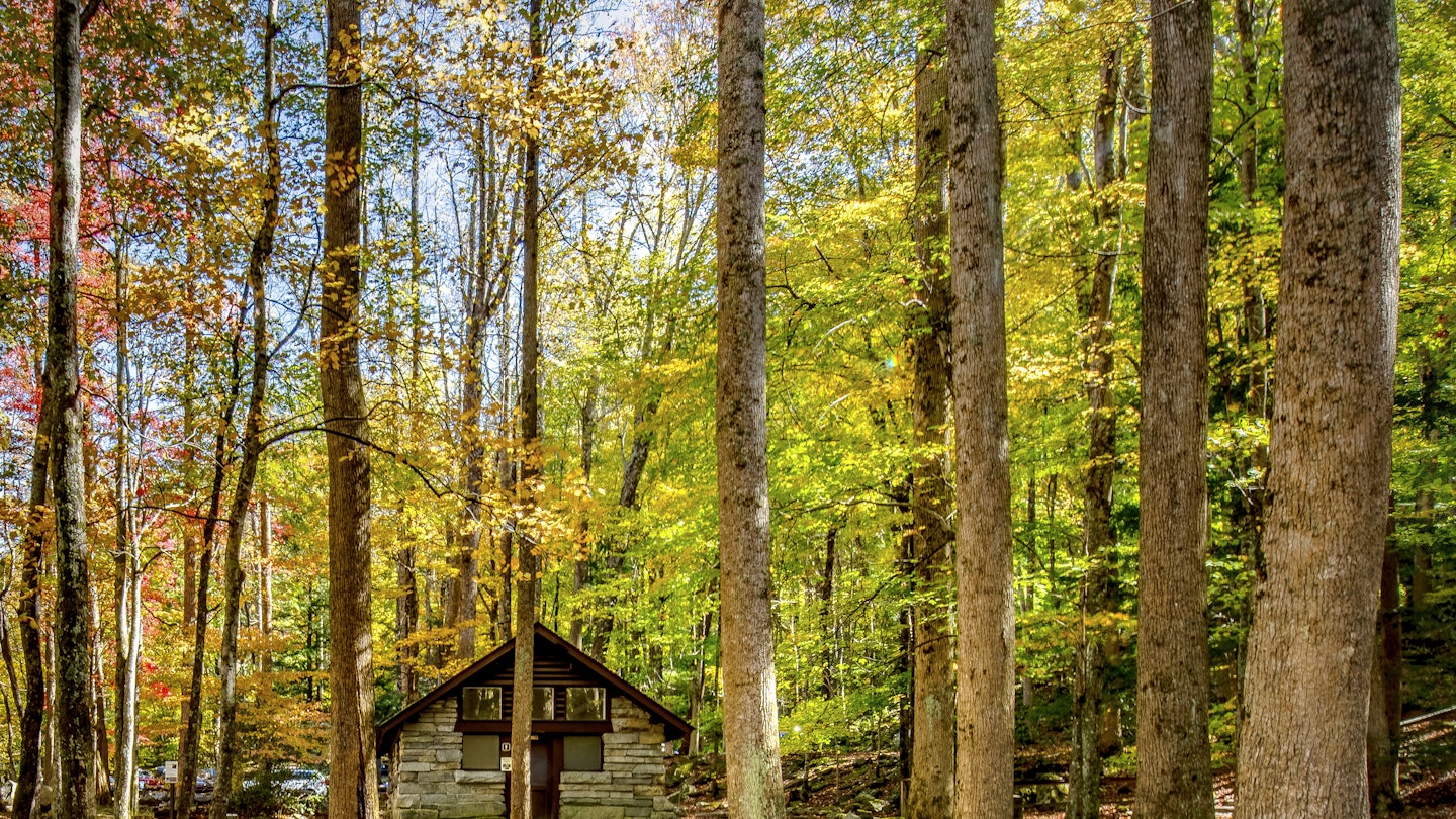 Autumn colours at the Chimney Tops picnic area in the Great Smoky Mountains National Park in Tennessee.