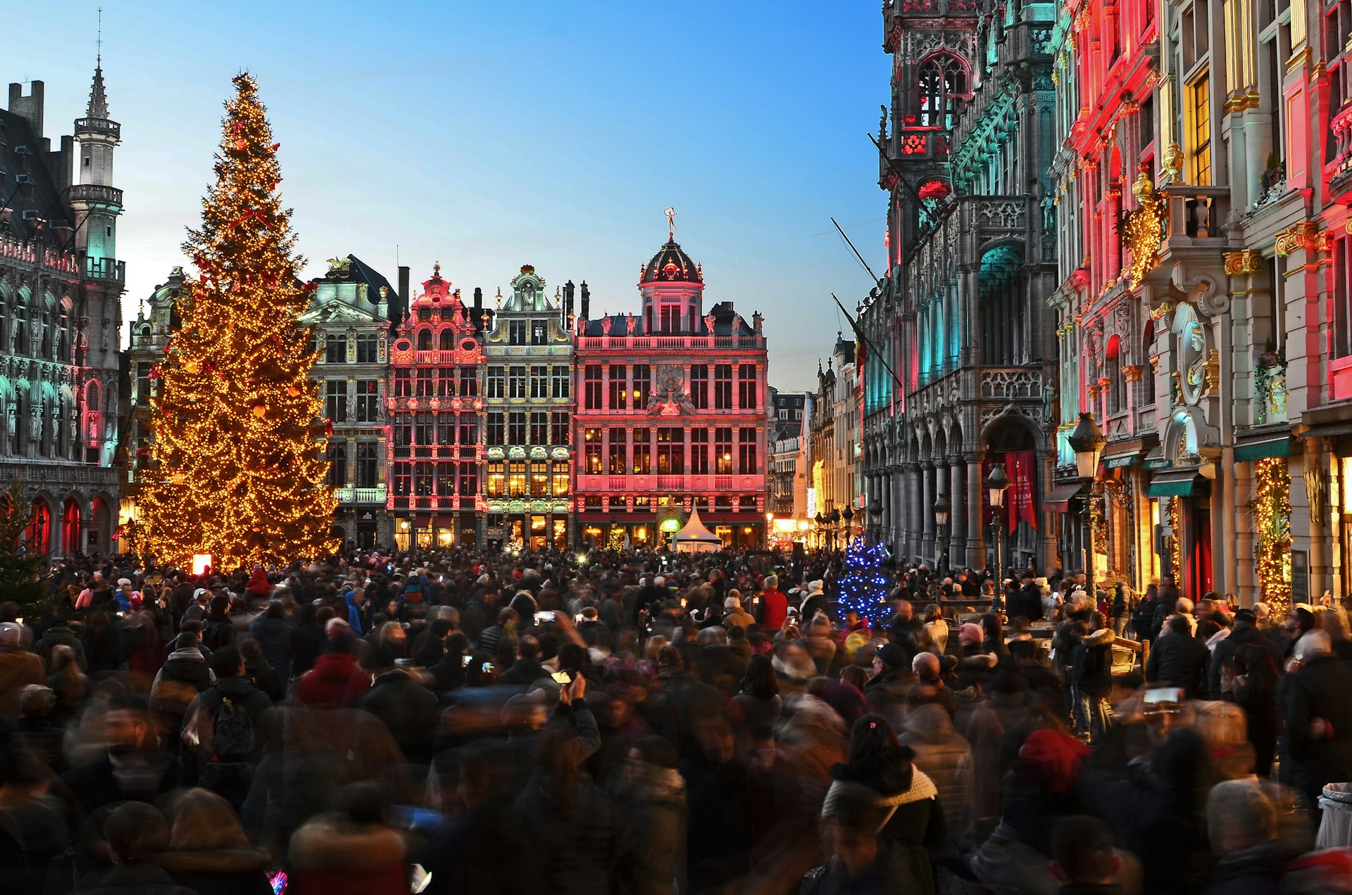 Crowd gathered at the iconic Grand Place in the centre of Brussels during Christmas evening at dusk. A large Christmas tree stands in the middle of the square.