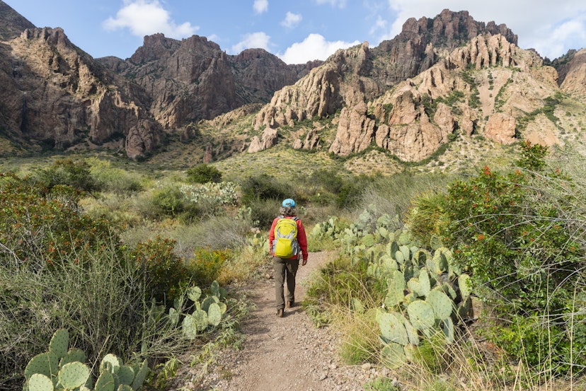 Senior woman walking on trail trough cactus, yucca plant and rocks in Big Bend National Park, Texas, USA. Beautiful landscape.