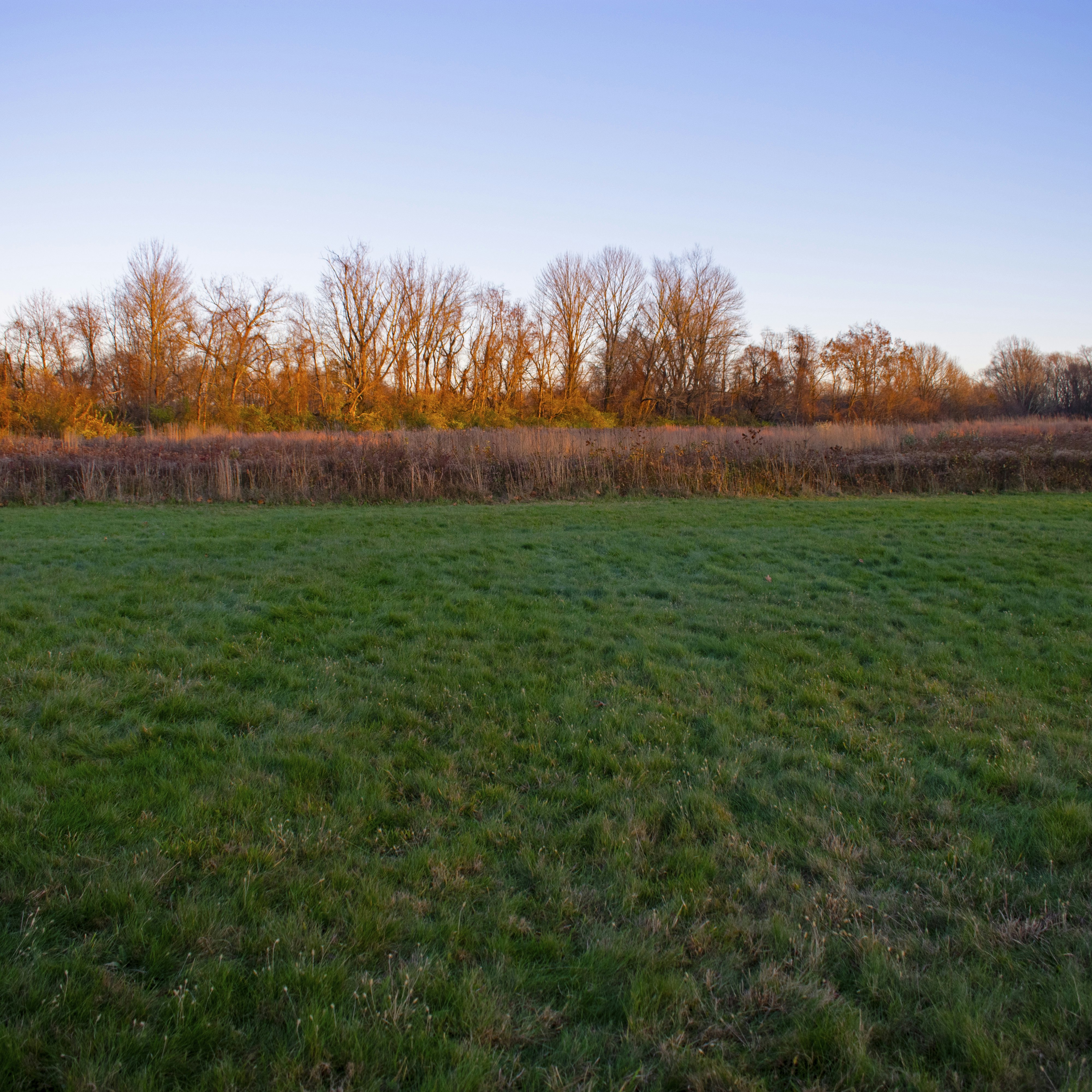Barren trees and other Autumn scenes at the Nature preserve at Institute woods, Princeton, New Jersey