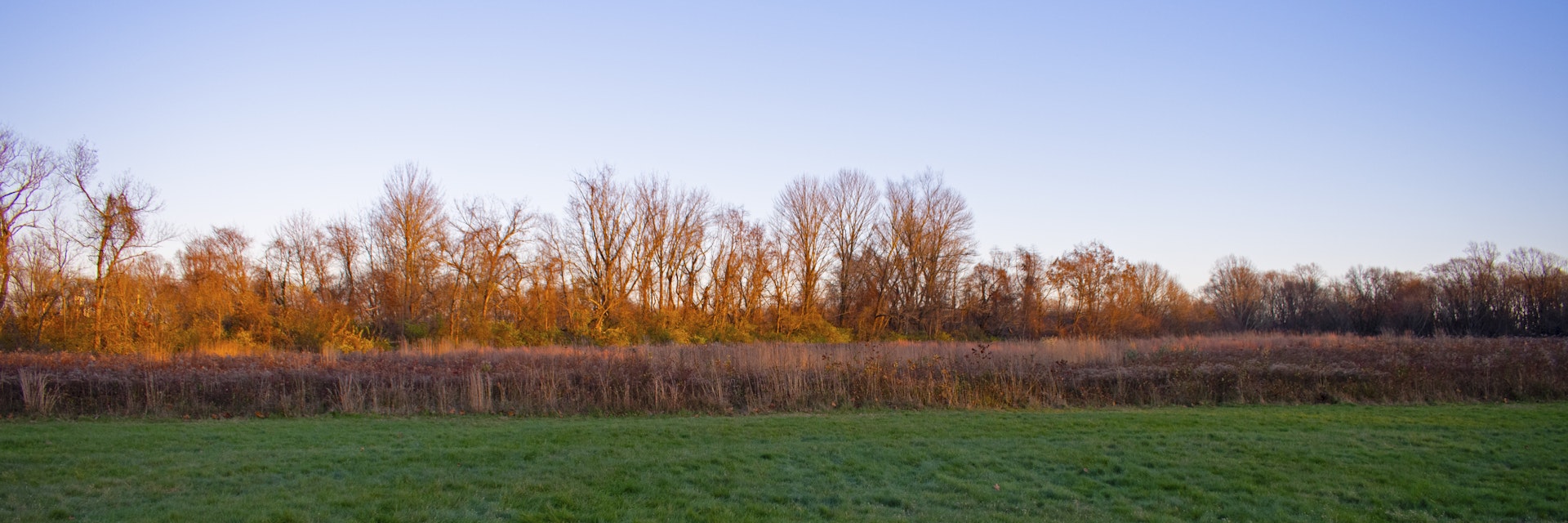 Barren trees and other Autumn scenes at the Nature preserve at Institute woods, Princeton, New Jersey