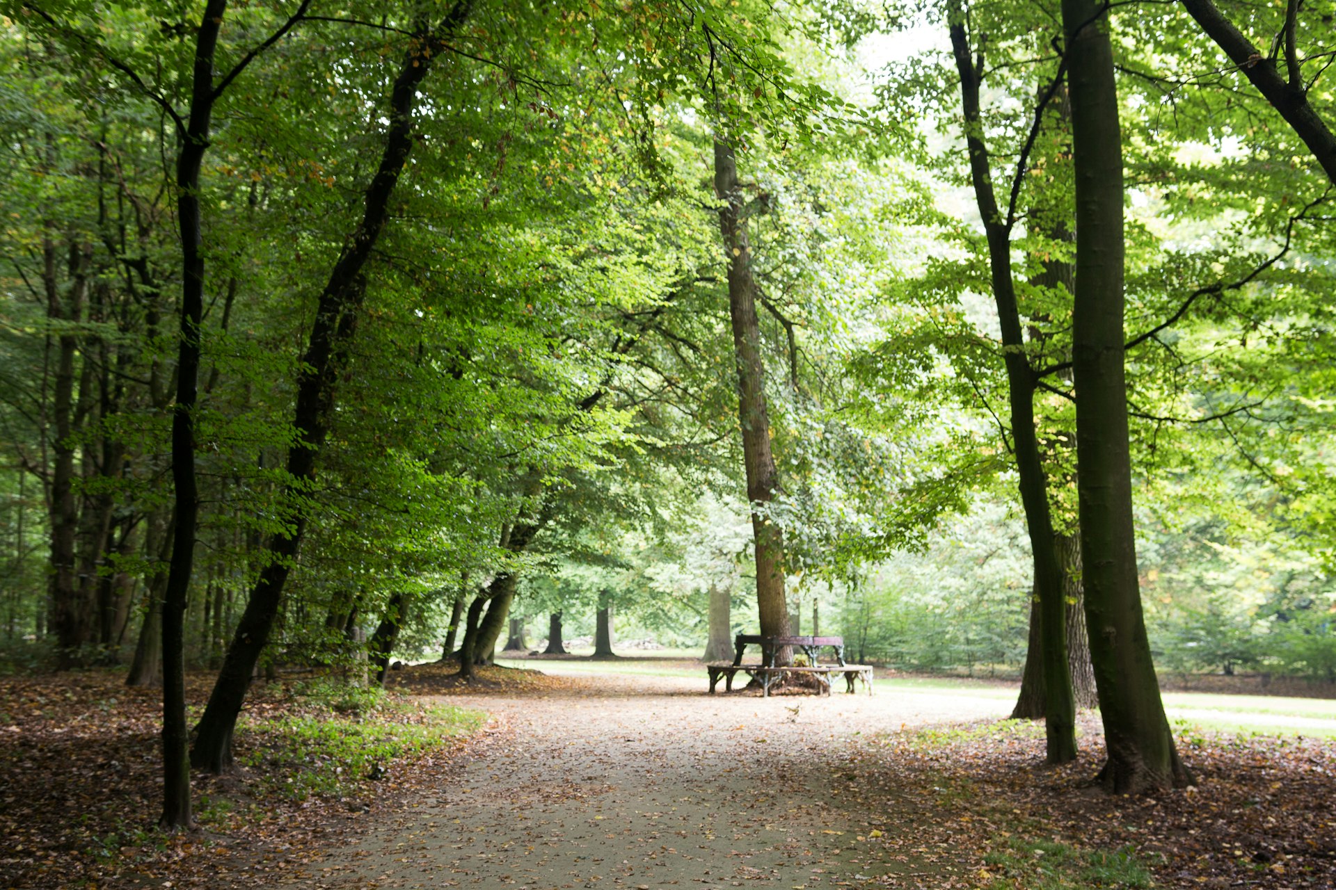 Bois de la Cambre, the place to be for hip youth and families alike on sunny days