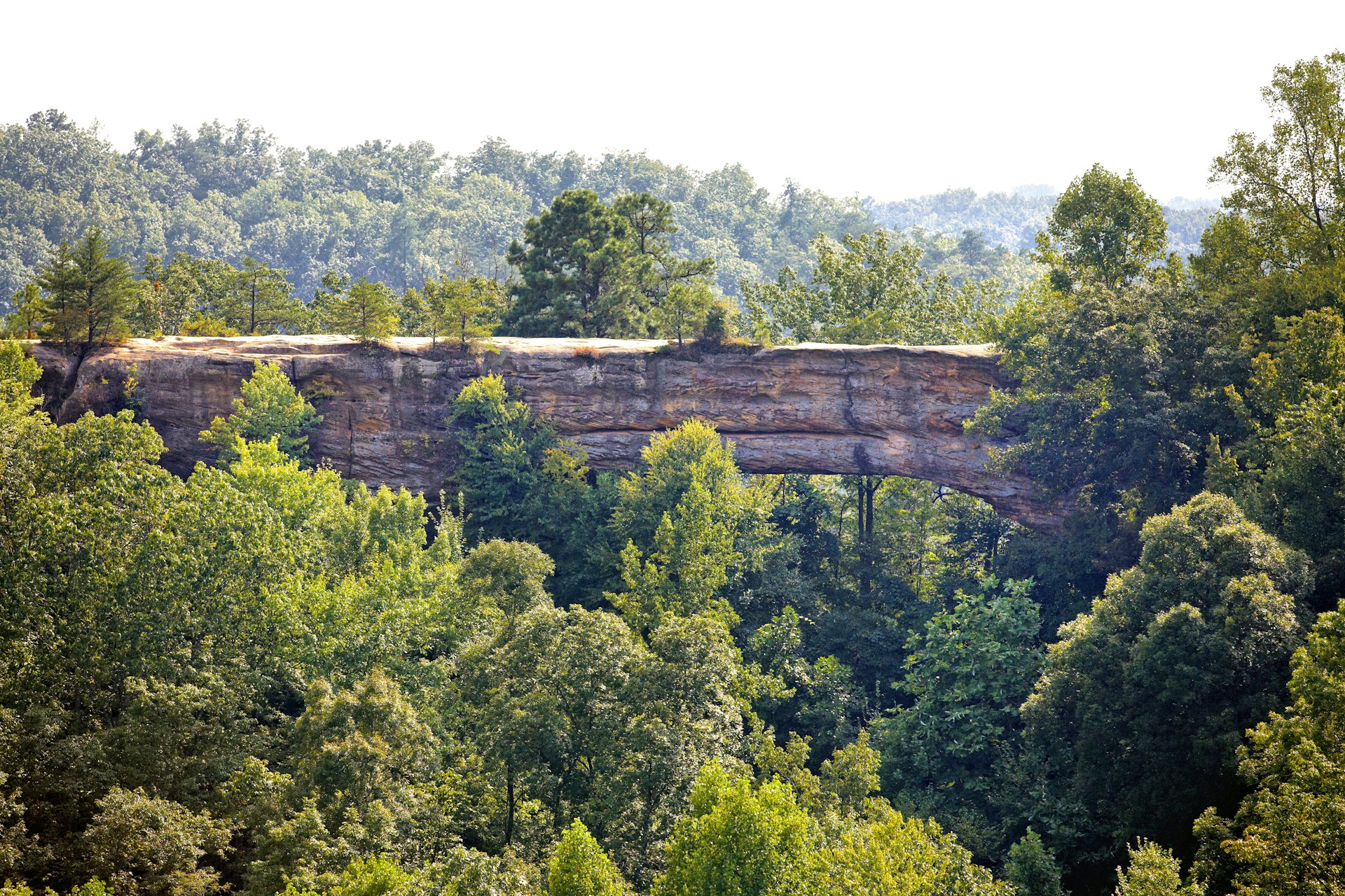 Red River Valley in Kentuckey's Daniel Boone National Forest 