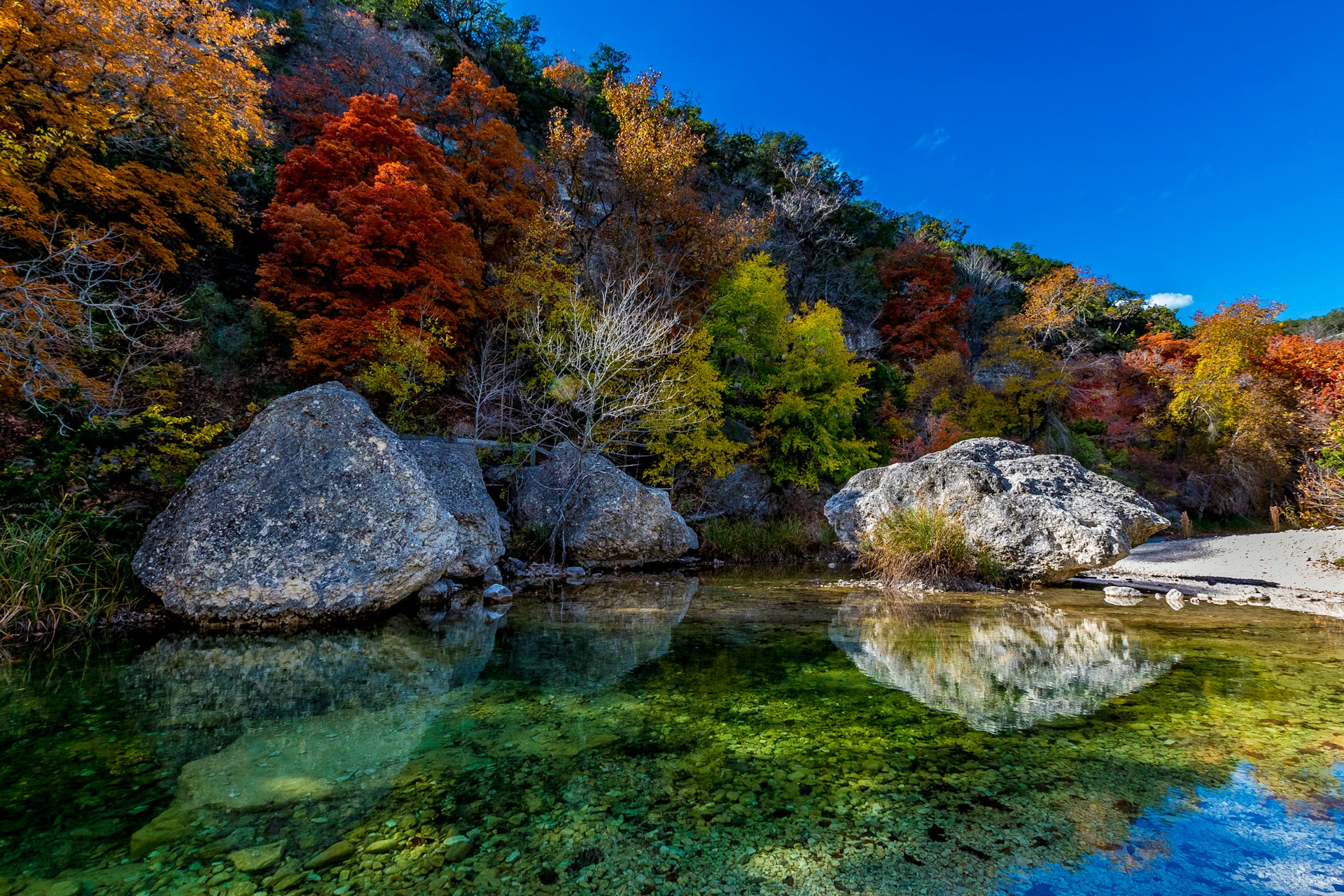 Amazing Fall Colors at Clear Pool in Lost Maples State Park, Texas