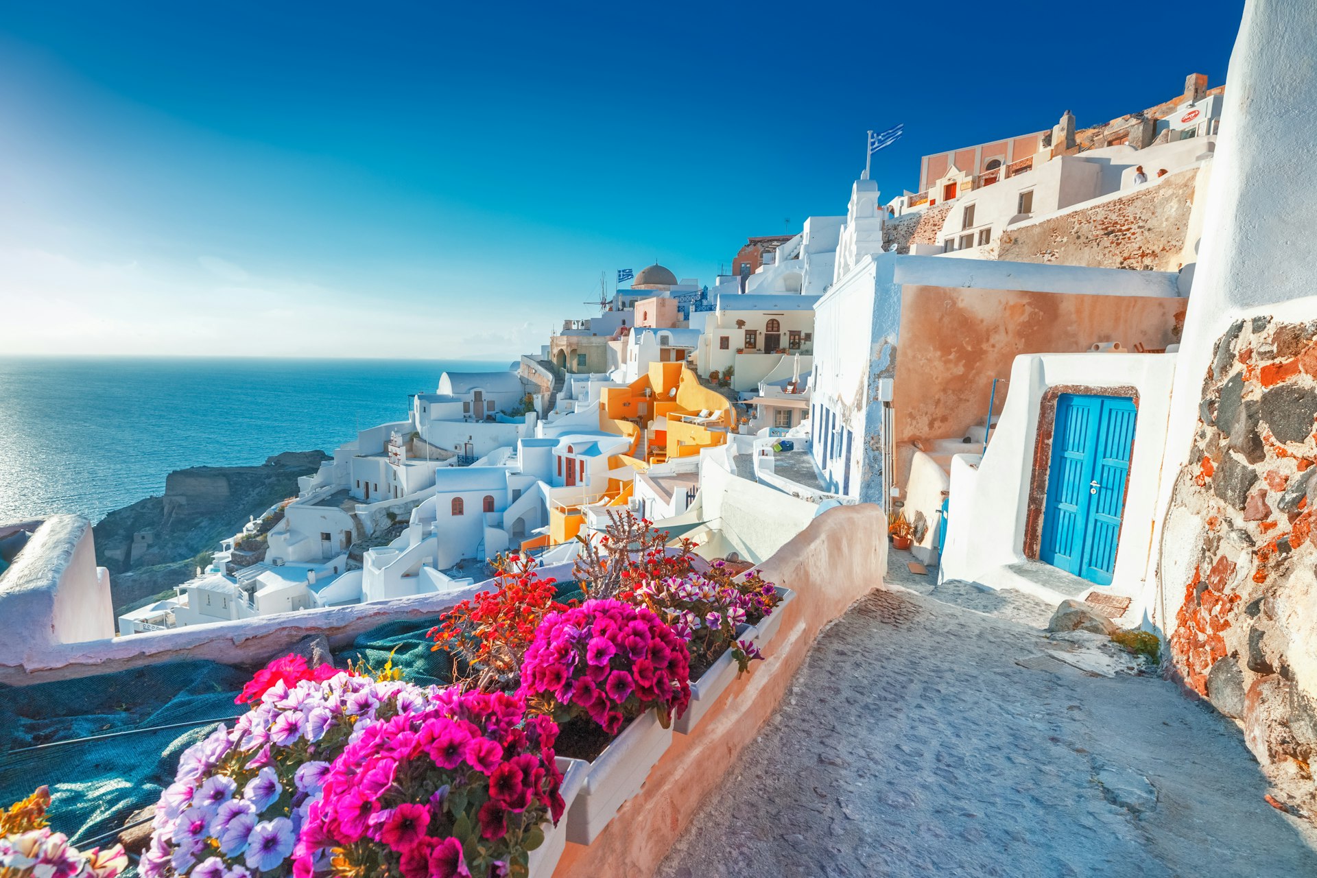Picturesque view of traditional Cycladic Santorini houses on small street with flowers in foreground in Oia village