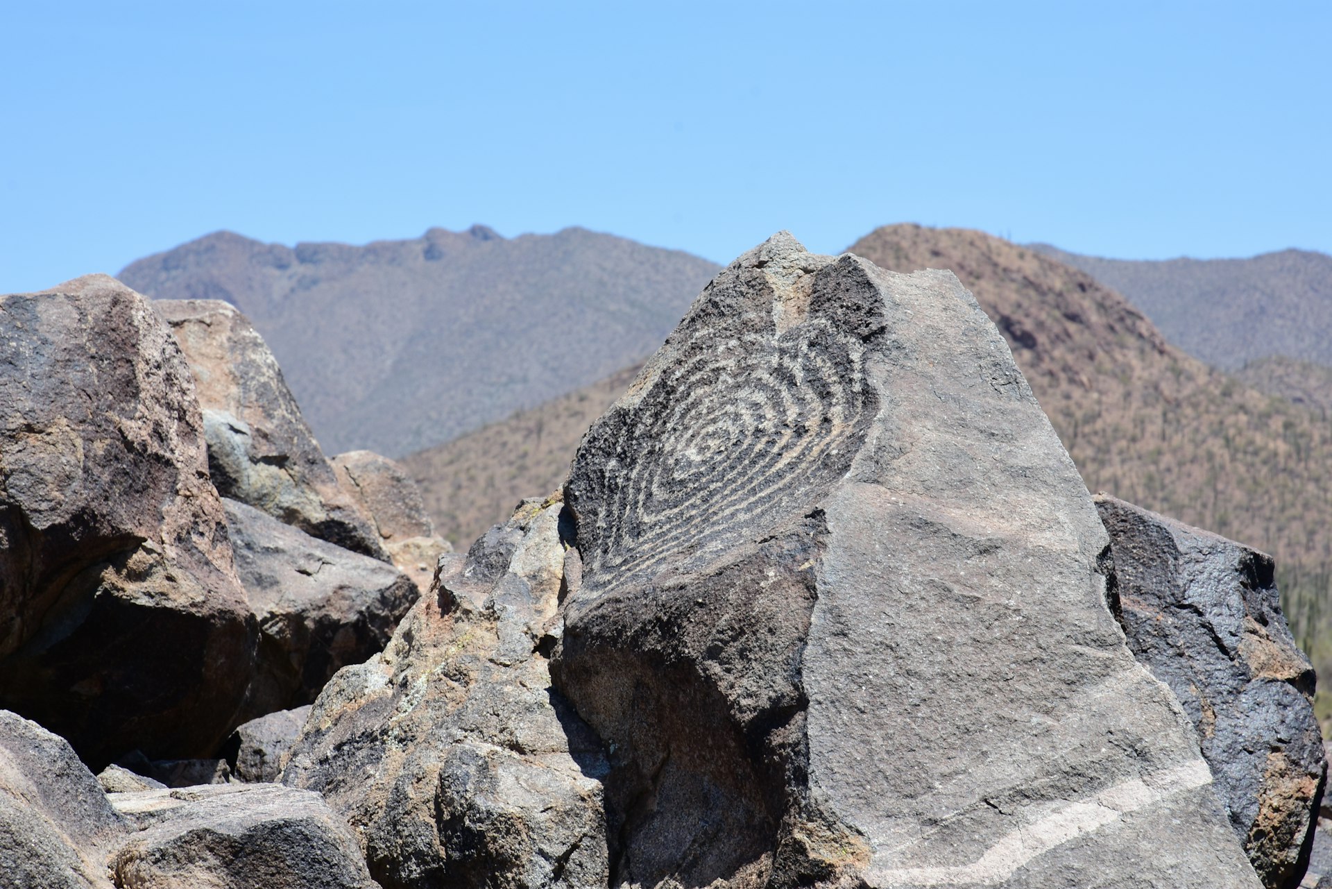 A large spiral formation on a rock