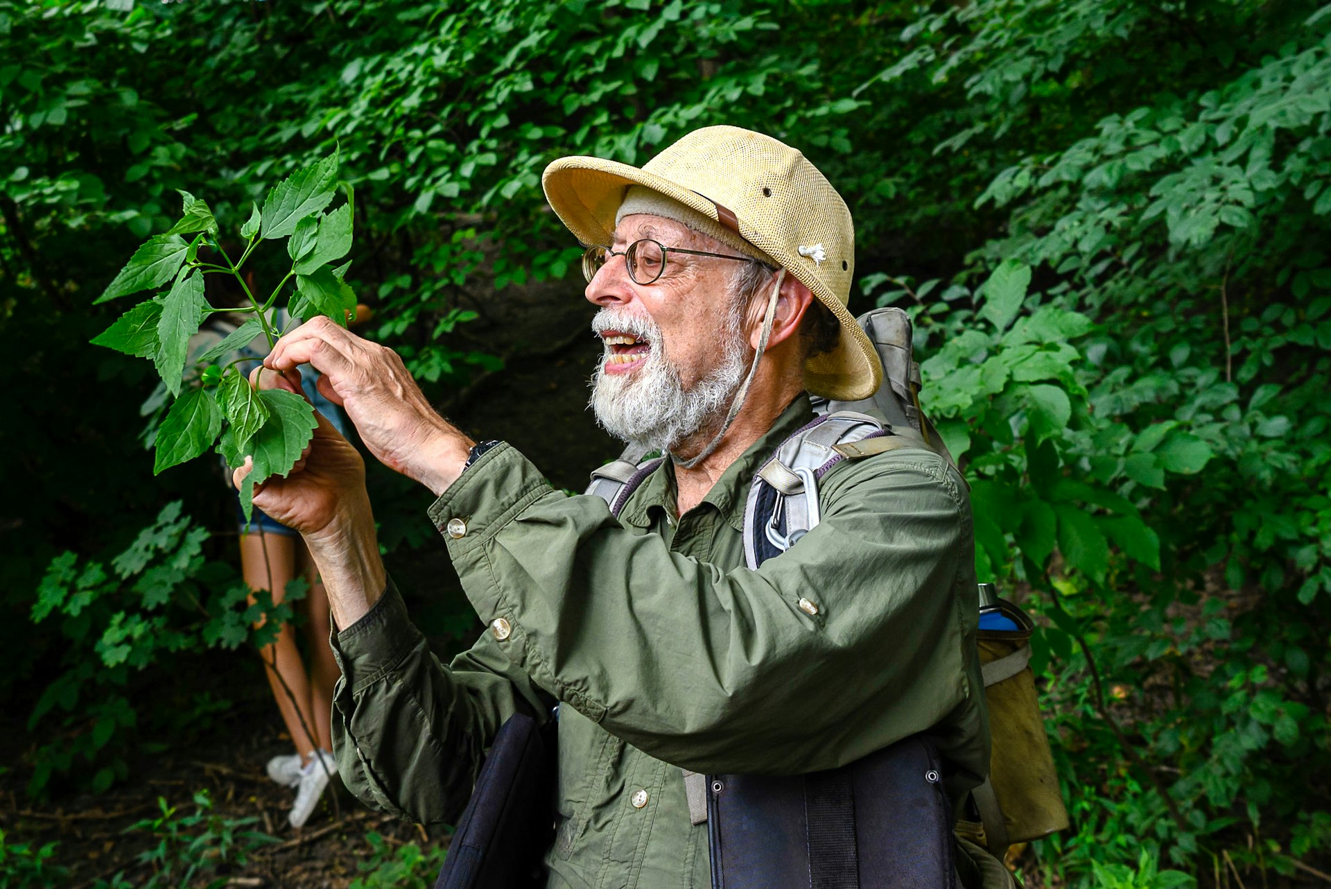 Steve "Wildman" Brill foraging tour in Central Park.