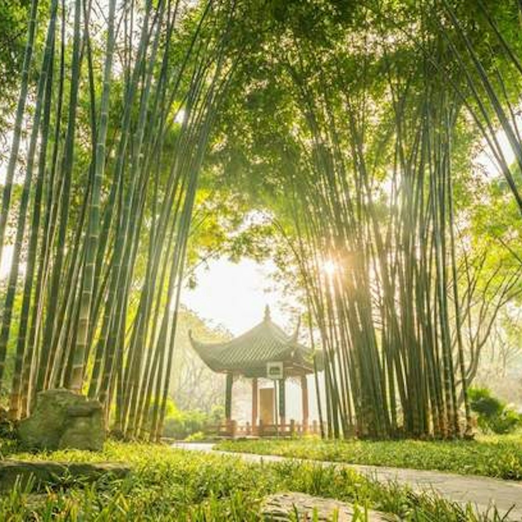 Wangjiang Pavilion Park is nestled in a forest located in the bend on the Jinjiang River in Chengdu. 