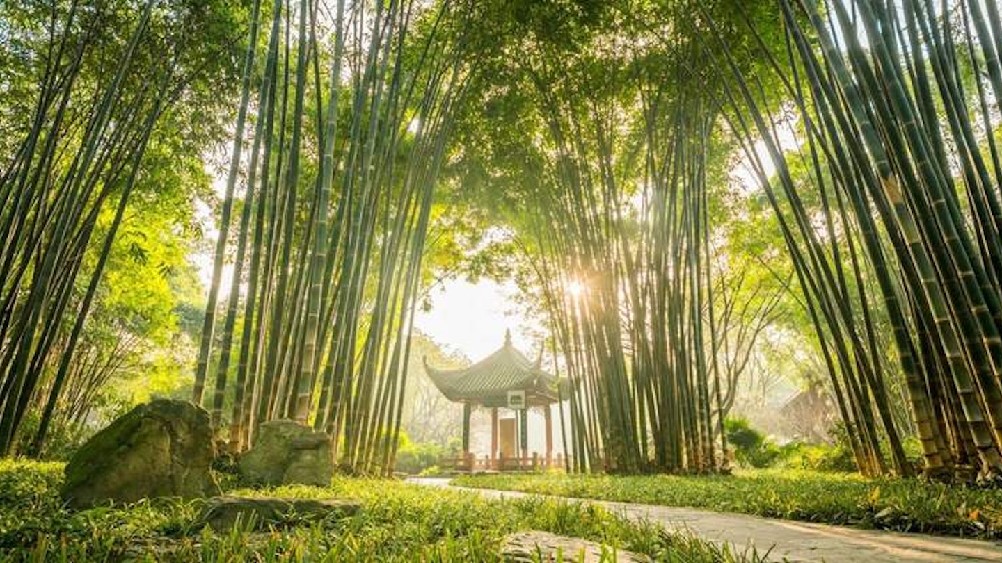 Wangjiang Pavilion Park is nestled in a forest located in the bend on the Jinjiang River in Chengdu. 