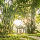 Wangjiang Pavilion Park is nestled in a forest located in the bend on the Jinjiang River in Chengdu.