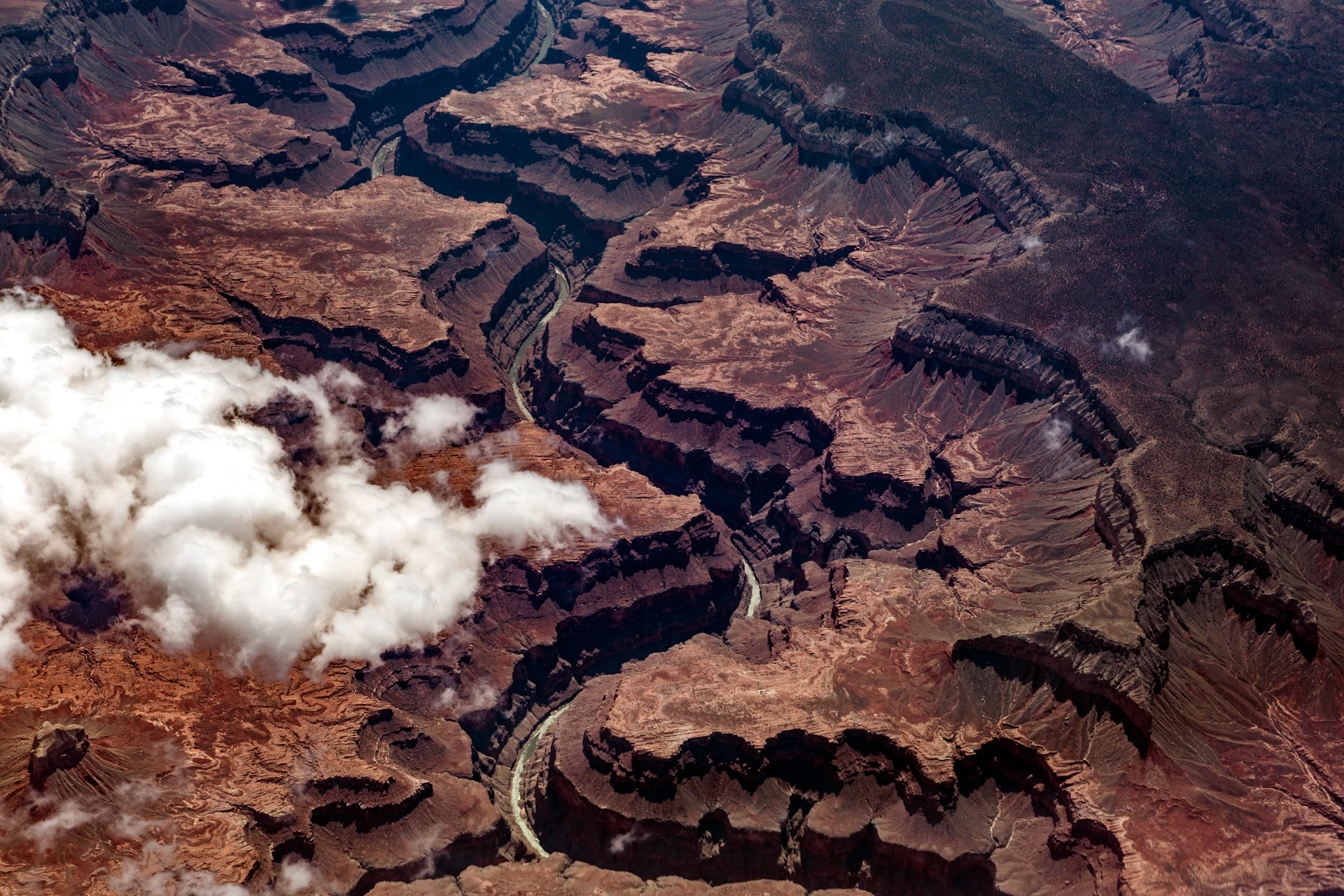 Zoom in Closer: Grand Canyon National Park - Lonely Planet