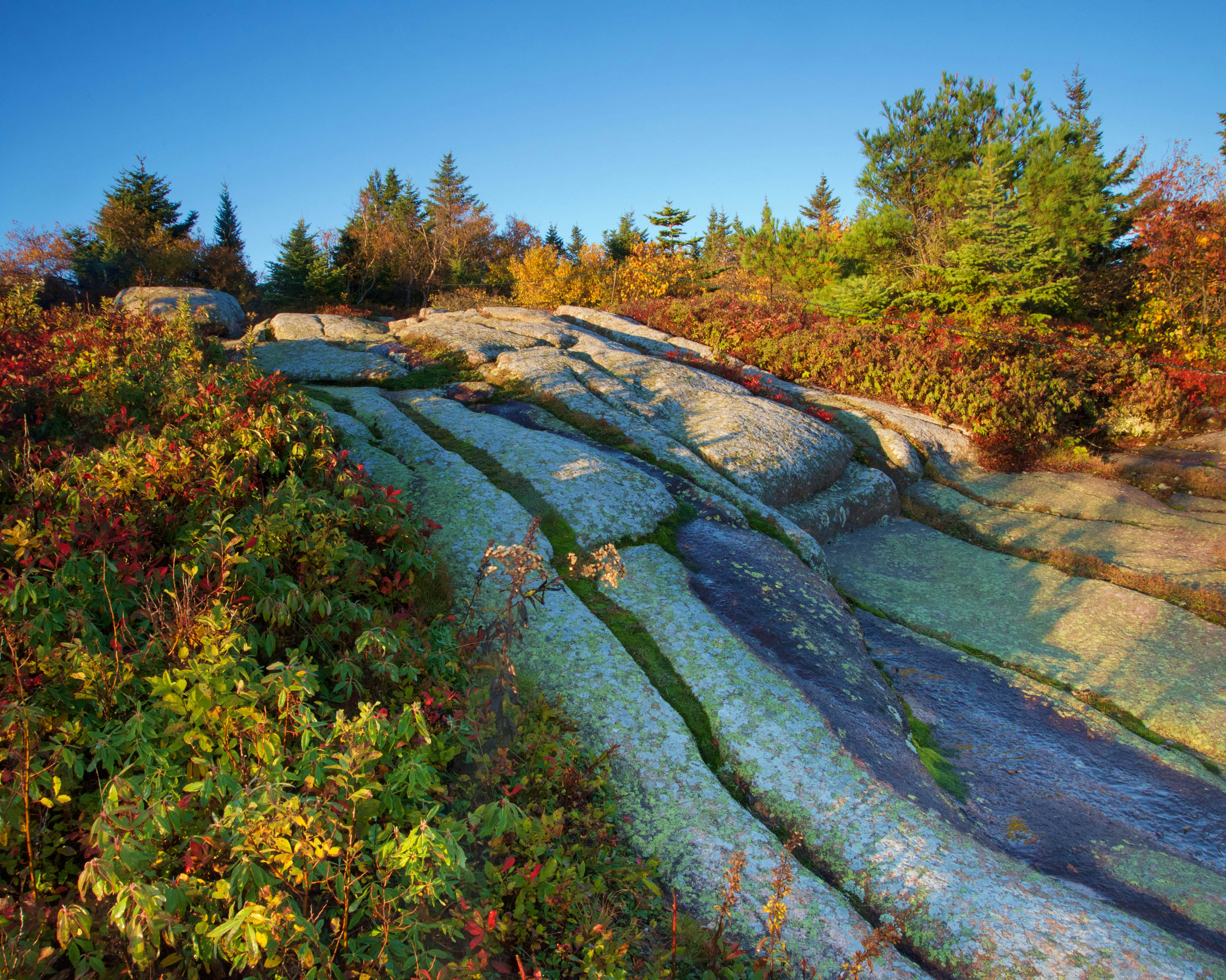 Best hikes in Maine Lonely