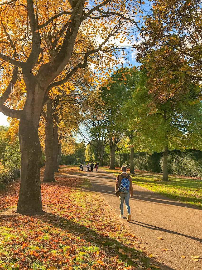 Colorful trees and people walking along a path on a fall day in Bute Park in Cardiff, Wales