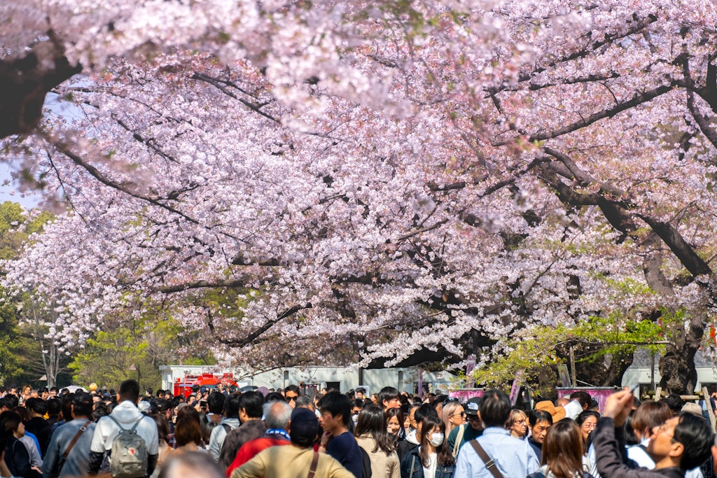 Things to know before traveling to Tokyo - Lonely Planet