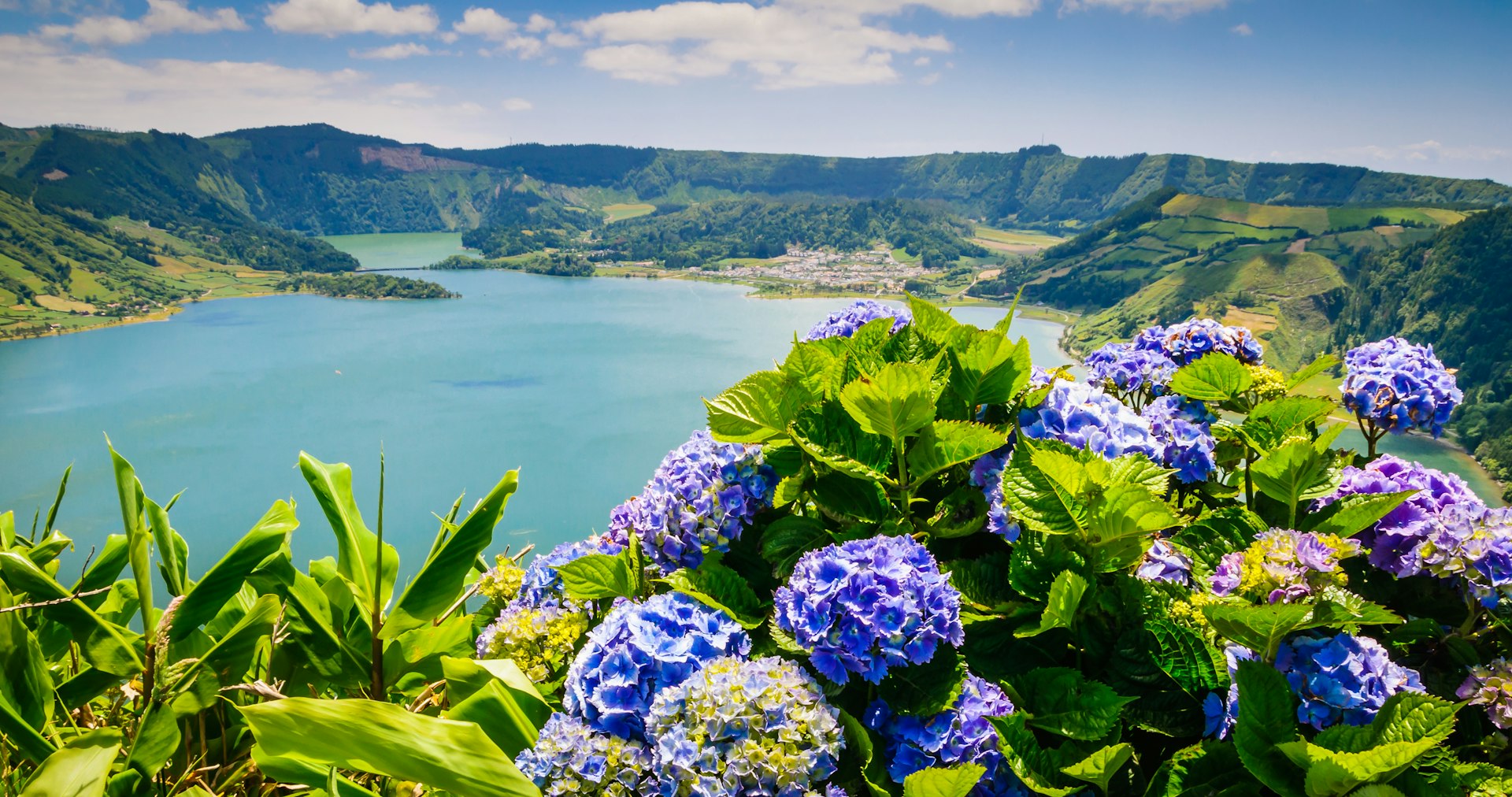 Lake of Sete Cidades with blooming hortensia flowers in the foreground, Azores